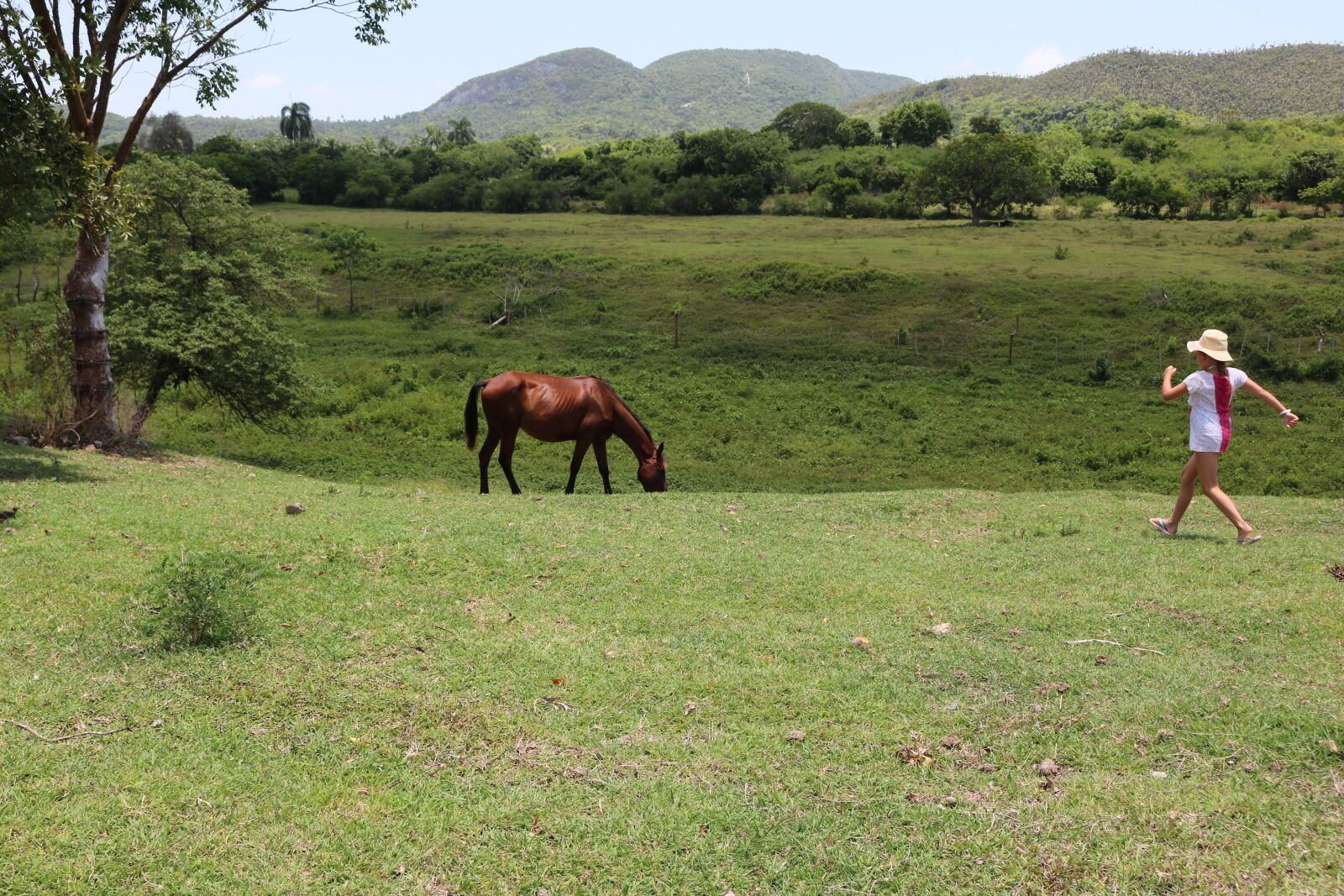 Canon EOS 750D (EOS Rebel T6i / EOS Kiss X8i) sample photo. Child, nature, ride photography