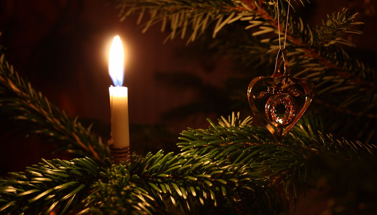 Canon EOS 400D (EOS Digital Rebel XTi / EOS Kiss Digital X) sample photo. Christmas, christmas tree, christmas photography