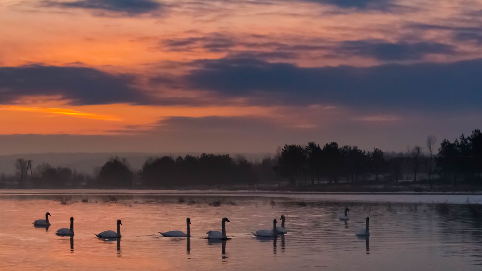 Canon EOS 700D (EOS Rebel T5i / EOS Kiss X7i) sample photo. Sunrise, swans, morning photography
