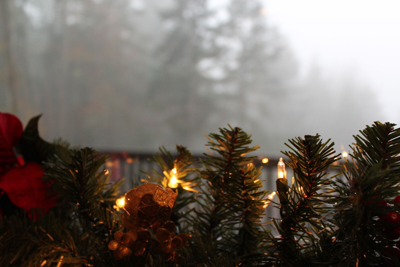 Canon EOS 1200D (EOS Rebel T5 / EOS Kiss X70 / EOS Hi) sample photo. Art, christmas, lights photography