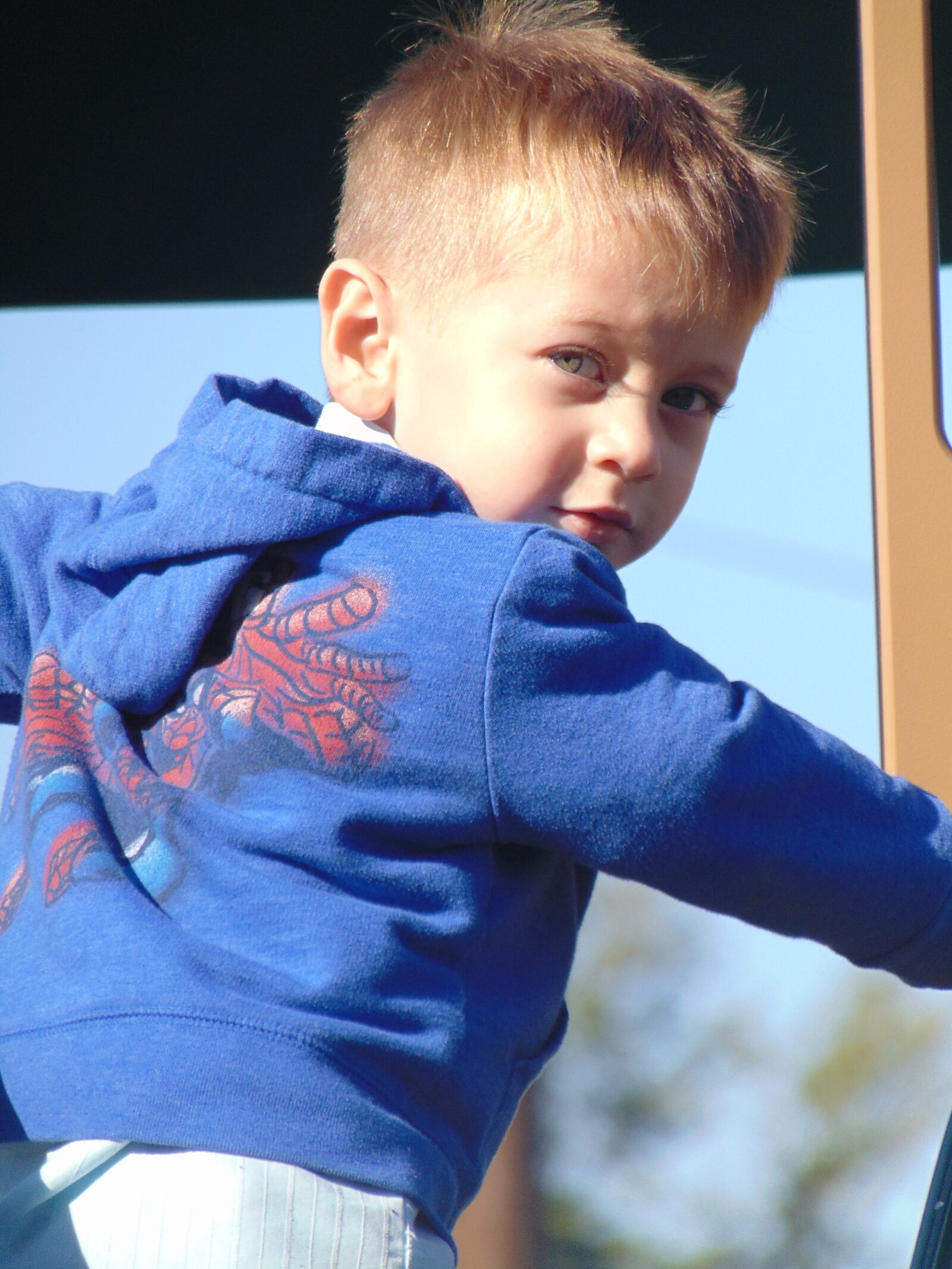Sony Cyber-shot DSC-H300 sample photo. Little boy, playing, park photography