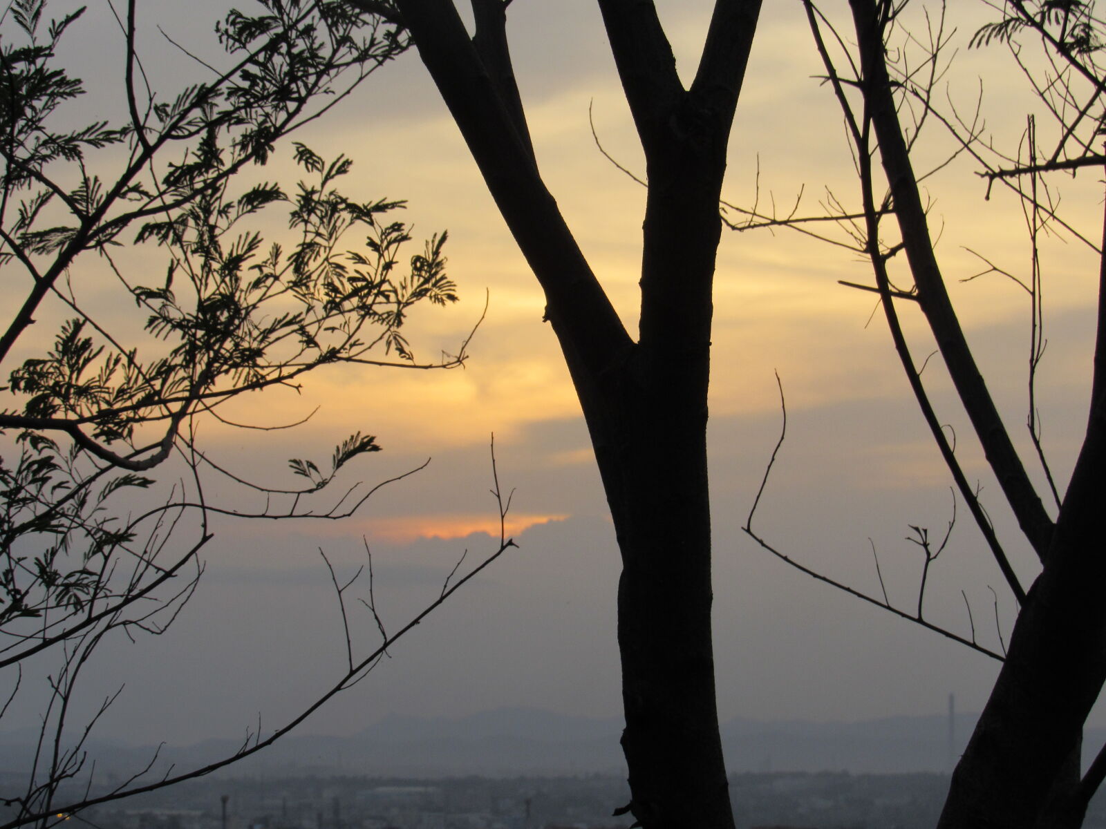 Canon PowerShot SX530 HS sample photo. Sunset photography