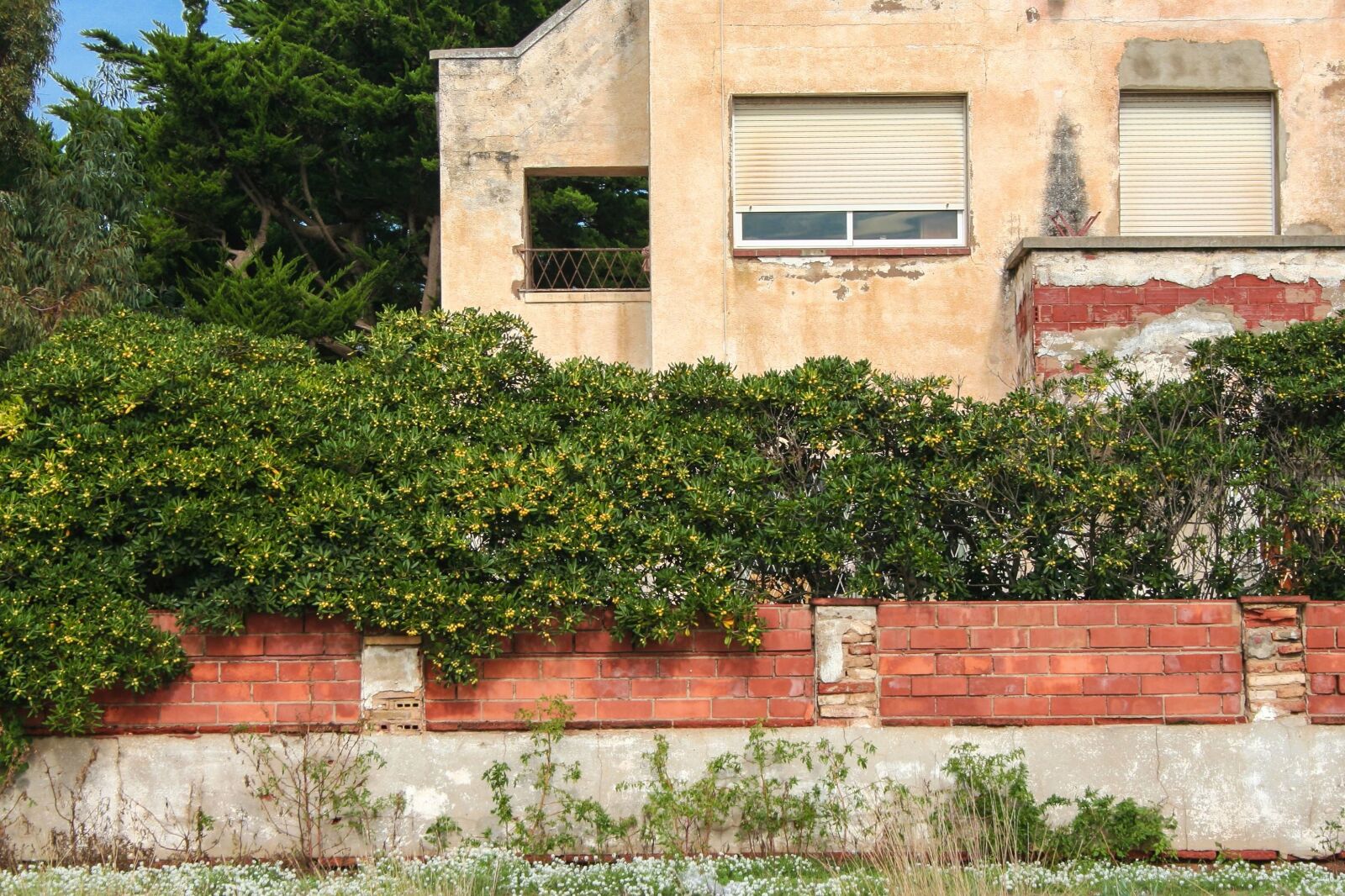 Canon EOS 350D (EOS Digital Rebel XT / EOS Kiss Digital N) sample photo. House, fence, brick, window photography