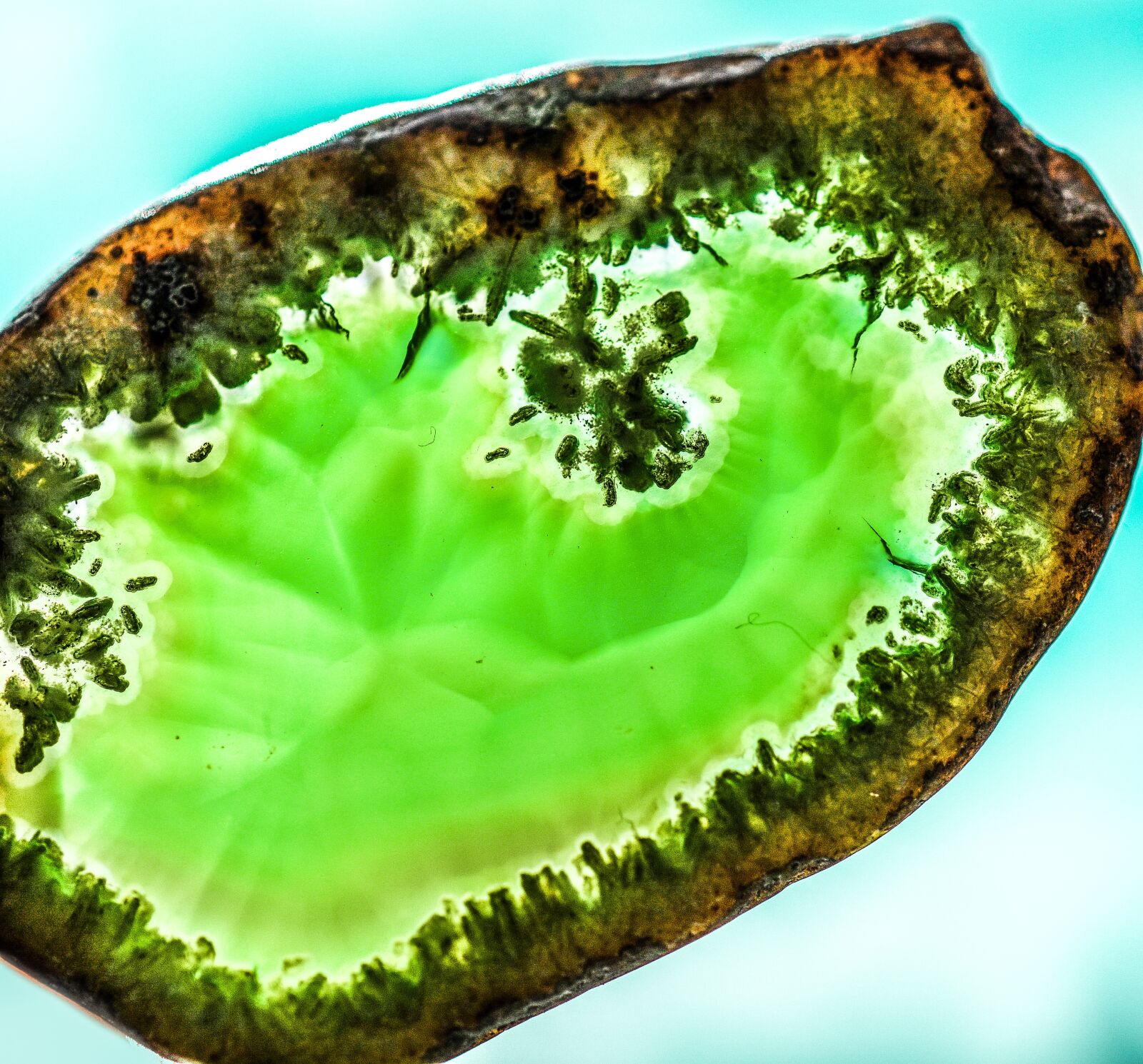 Nikon D5200 sample photo. Agate, stone, gem photography