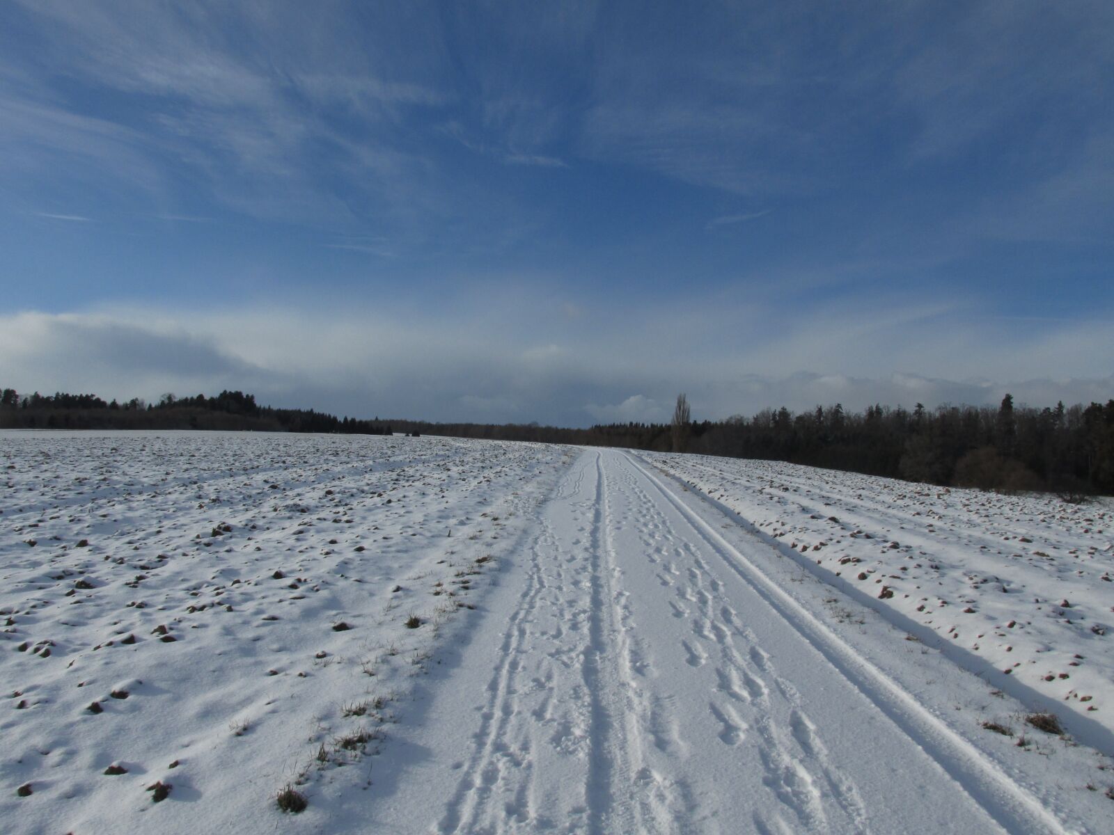 Canon PowerShot SX160 IS sample photo. Snow, winter, ice photography