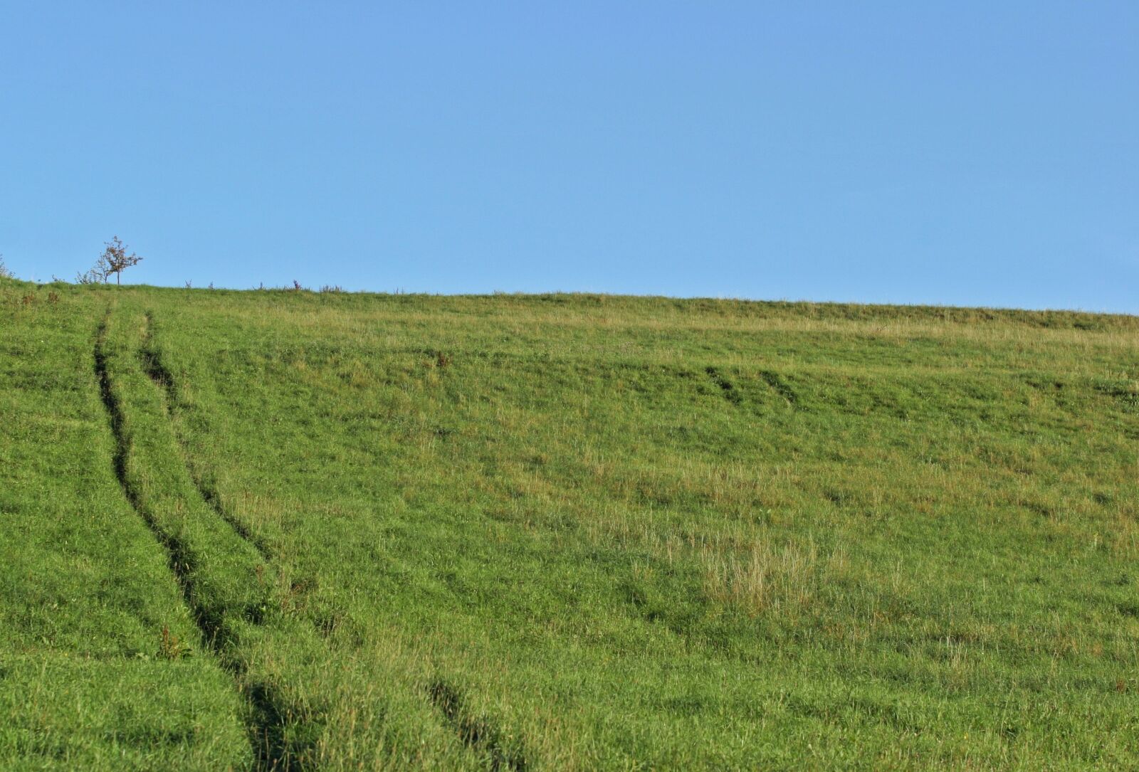 Canon EOS 10D sample photo. Hill, mountain, nature photography