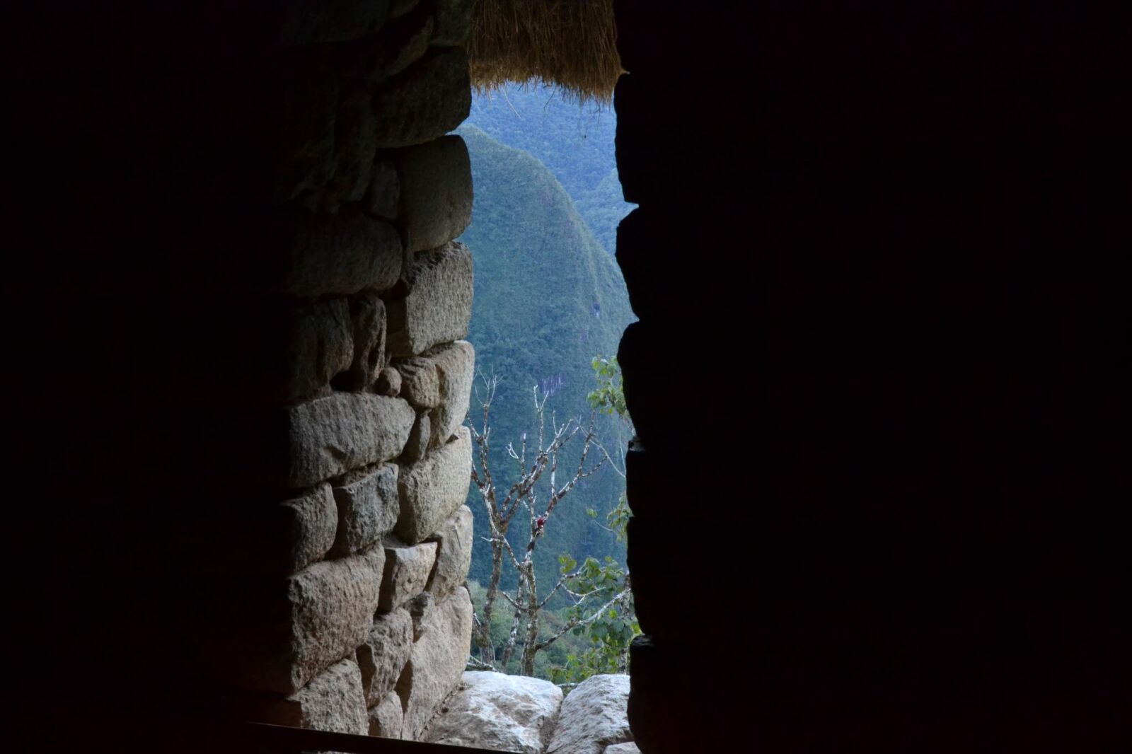 Nikon D3100 sample photo. Aguas, calientes, green, inca photography
