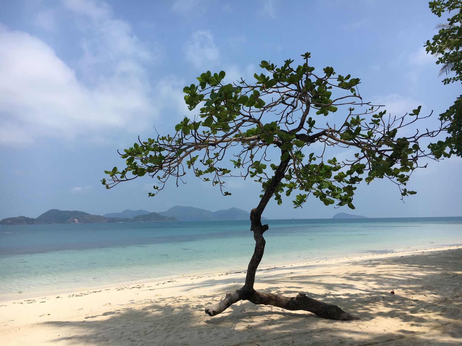 Apple iPhone 6s sample photo. Asia, thailand, vacations photography