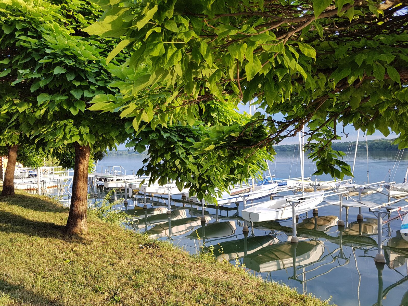 Samsung Galaxy S7 Edge sample photo. Summer, lake, water photography