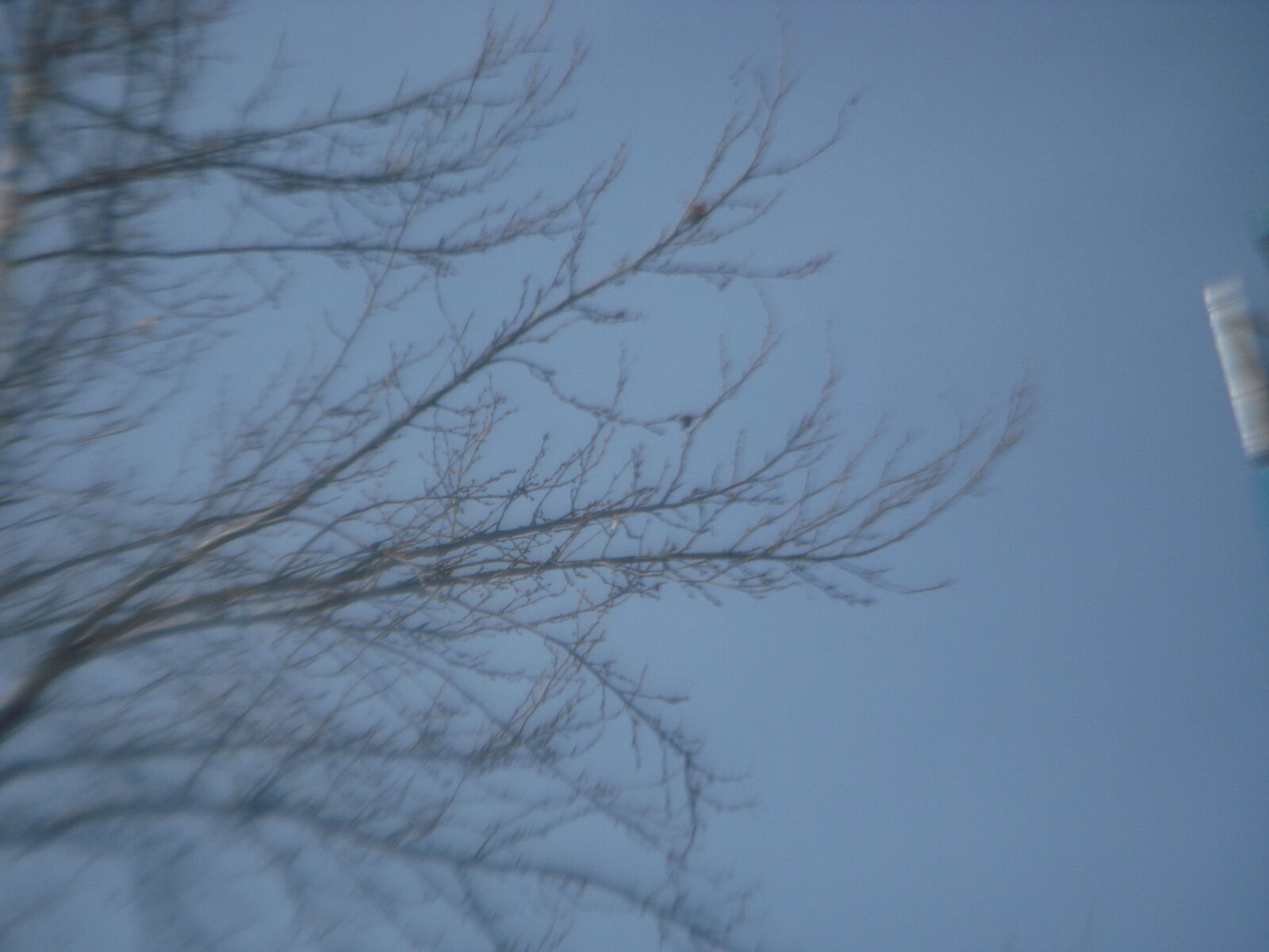 Nikon Coolpix S52 sample photo