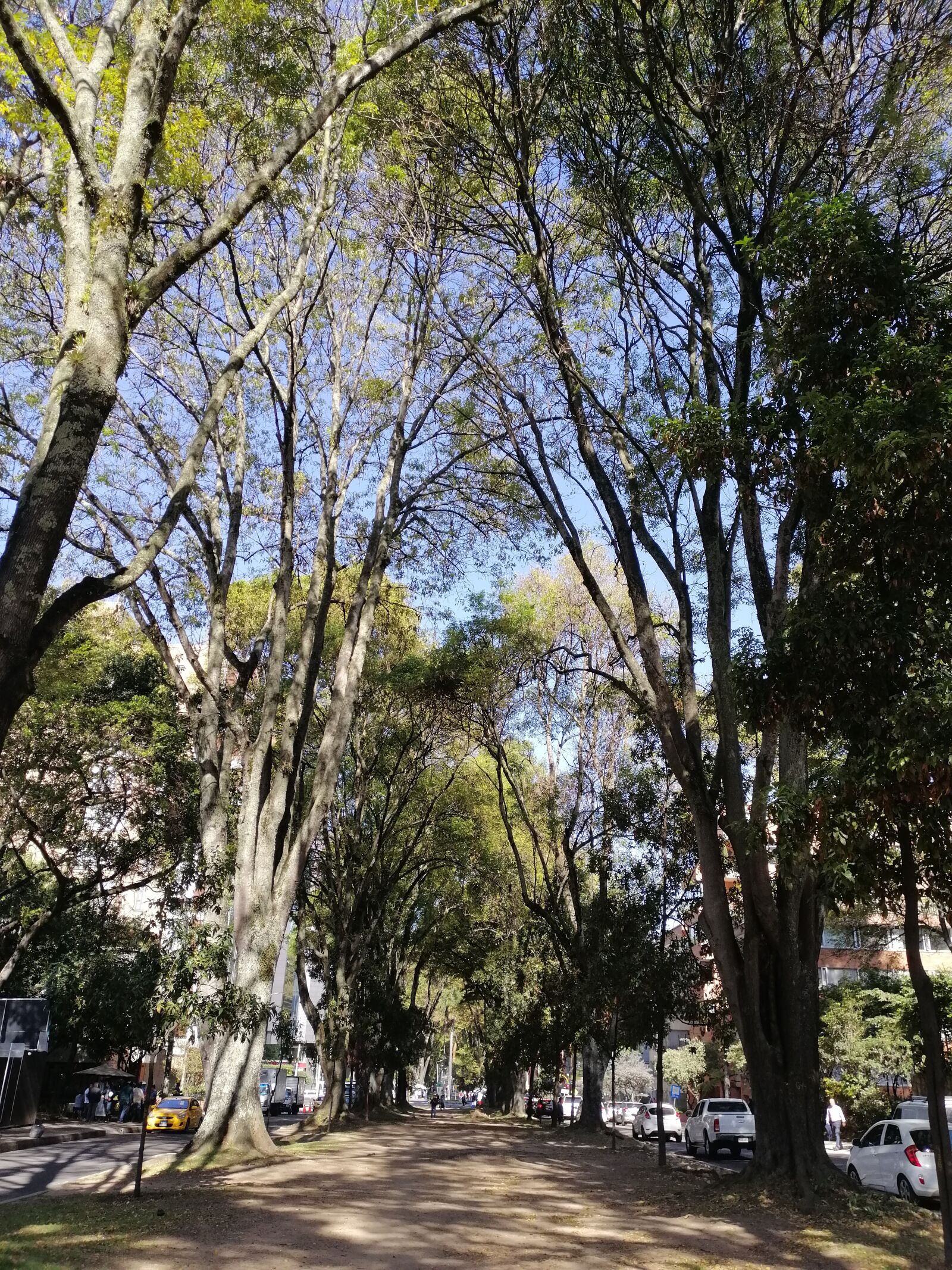 HUAWEI SNE-LX3 sample photo. Parque, bogotá, día photography