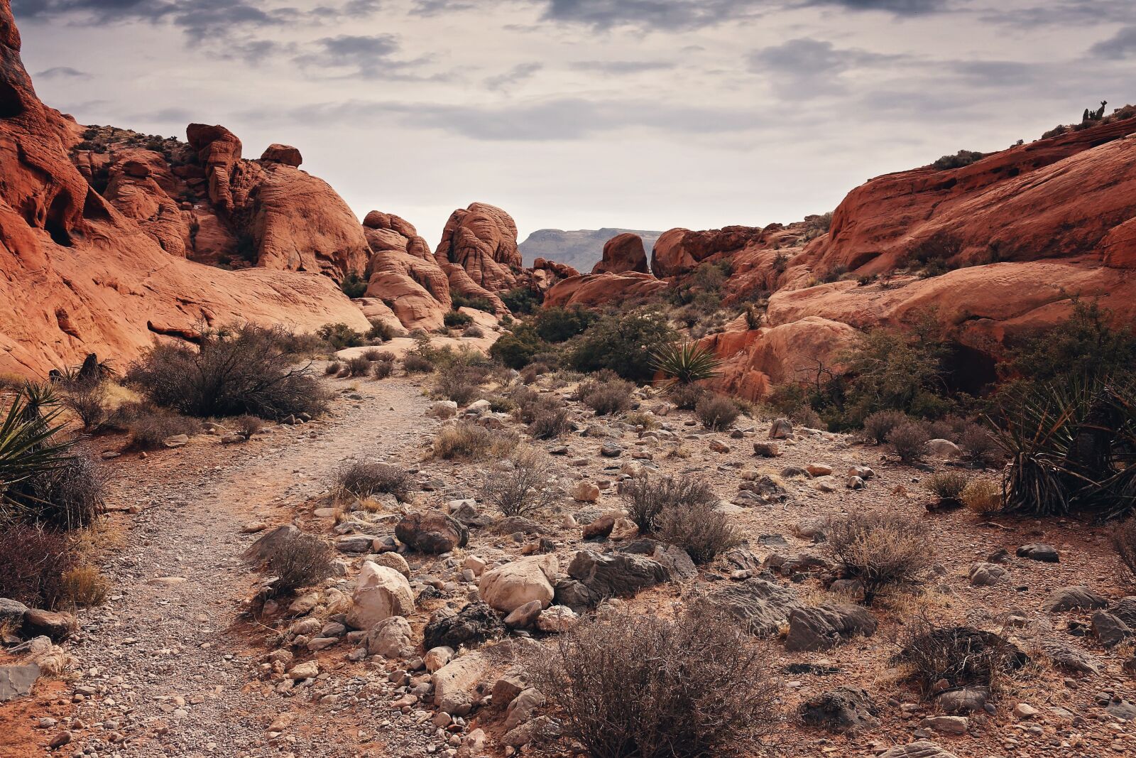Canon EOS 70D sample photo. Red rock canyon, las photography