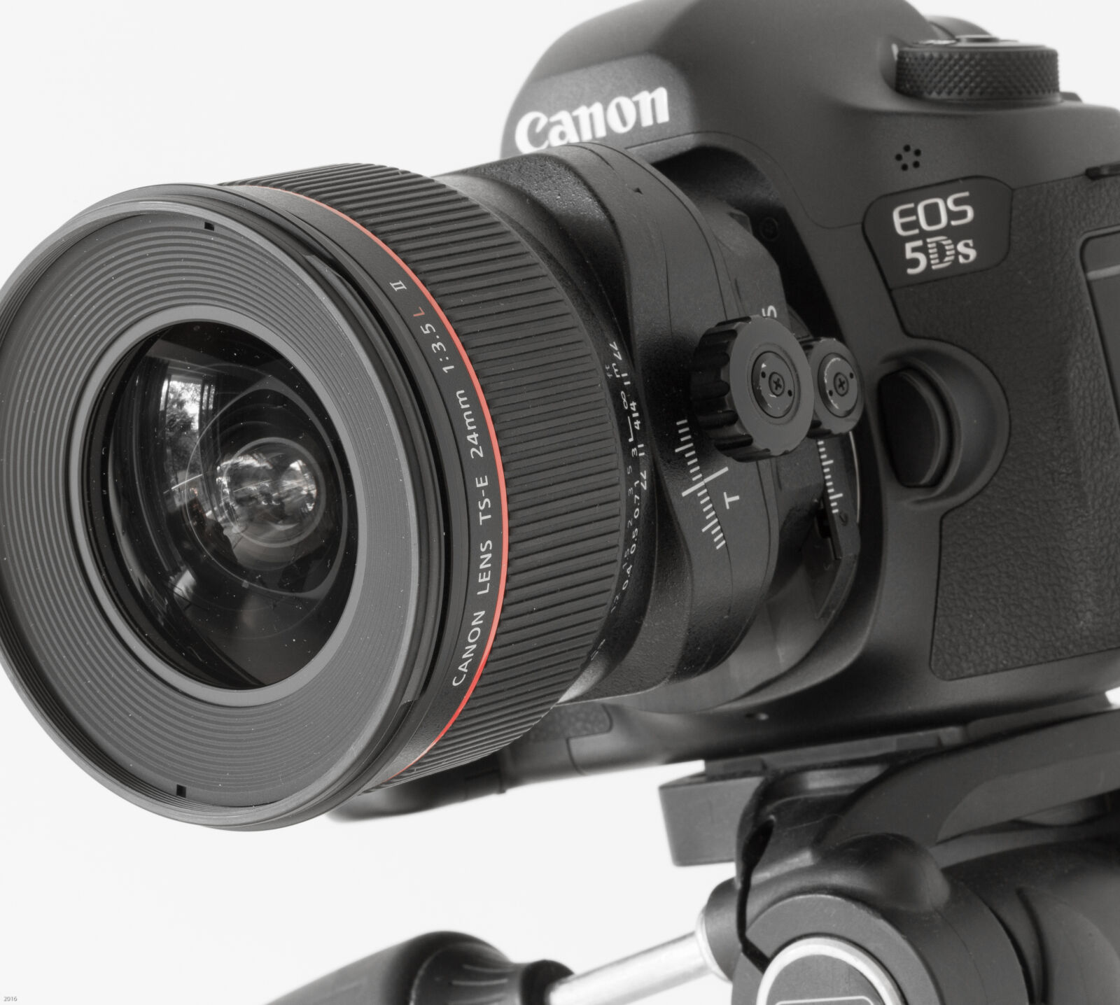 Canon EOS 6D sample photo. 5ds, camera, canon, digital photography