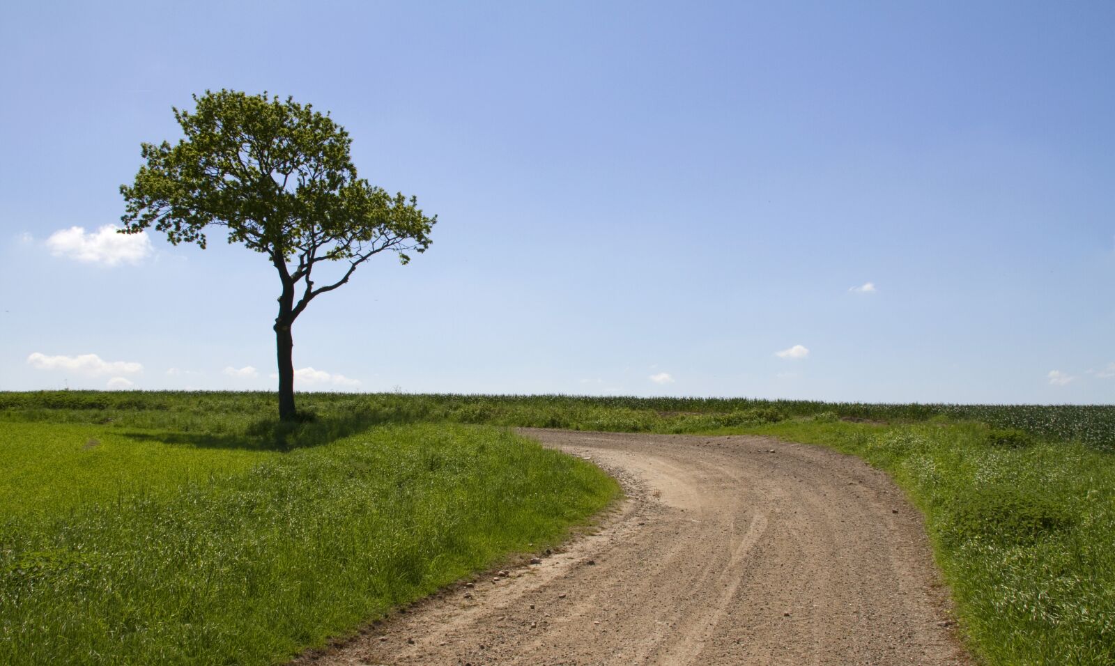 Canon EOS 7D sample photo. Wood, road, natural photography