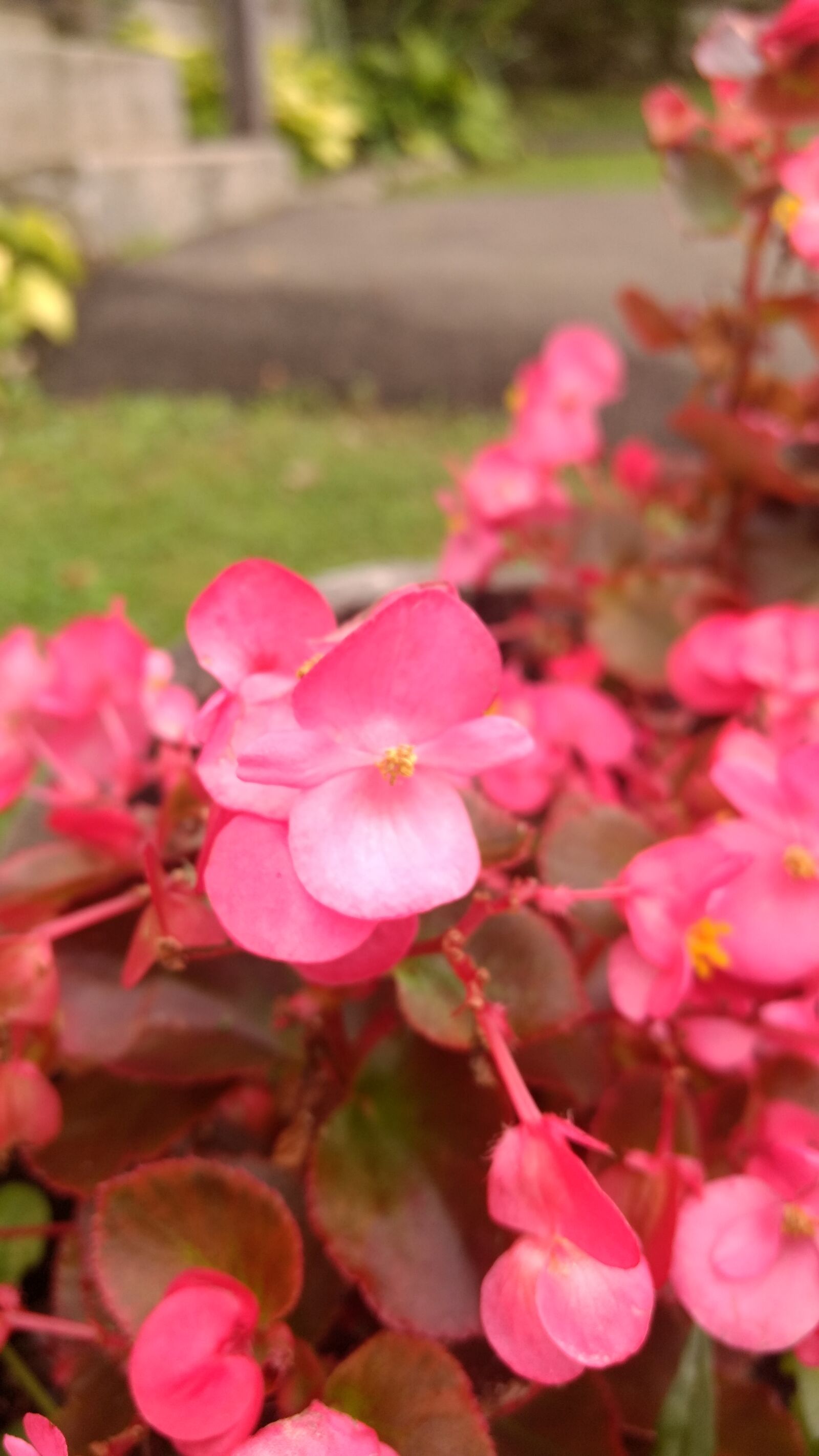 Motorola Moto G (4) sample photo