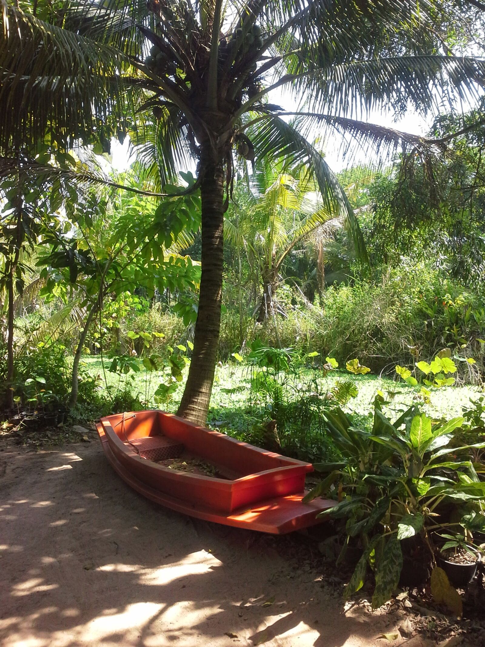 Samsung Galaxy Note 10.1 sample photo