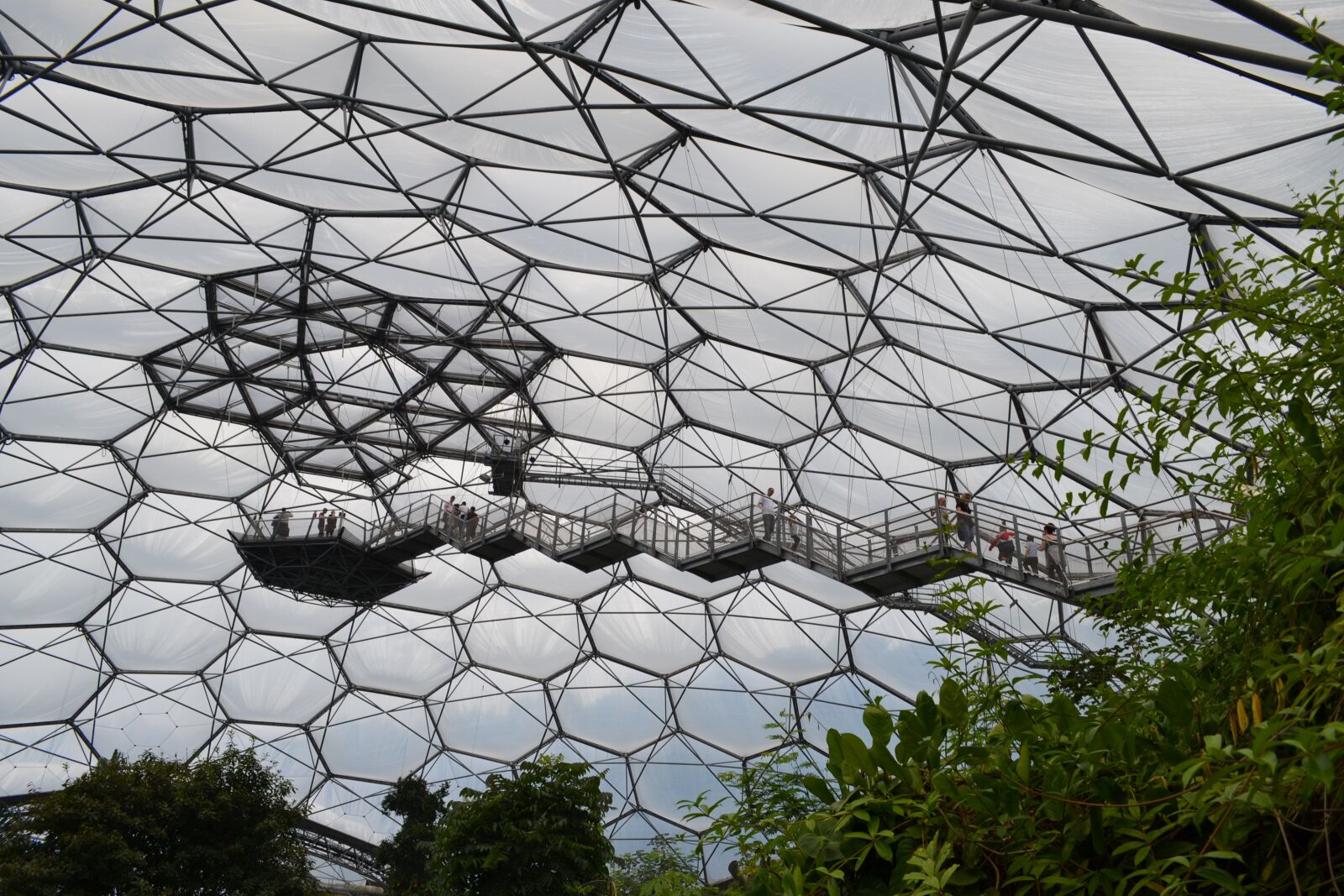 Nikon D3100 sample photo. Nature, greenhouse, project sky photography
