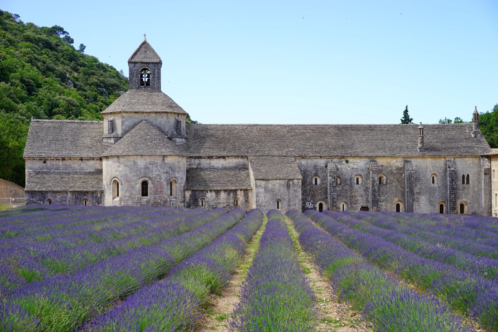 Sony a7 + Sony Sonnar T* FE 55mm F1.8 ZA sample photo. Abbaye de s nanque photography