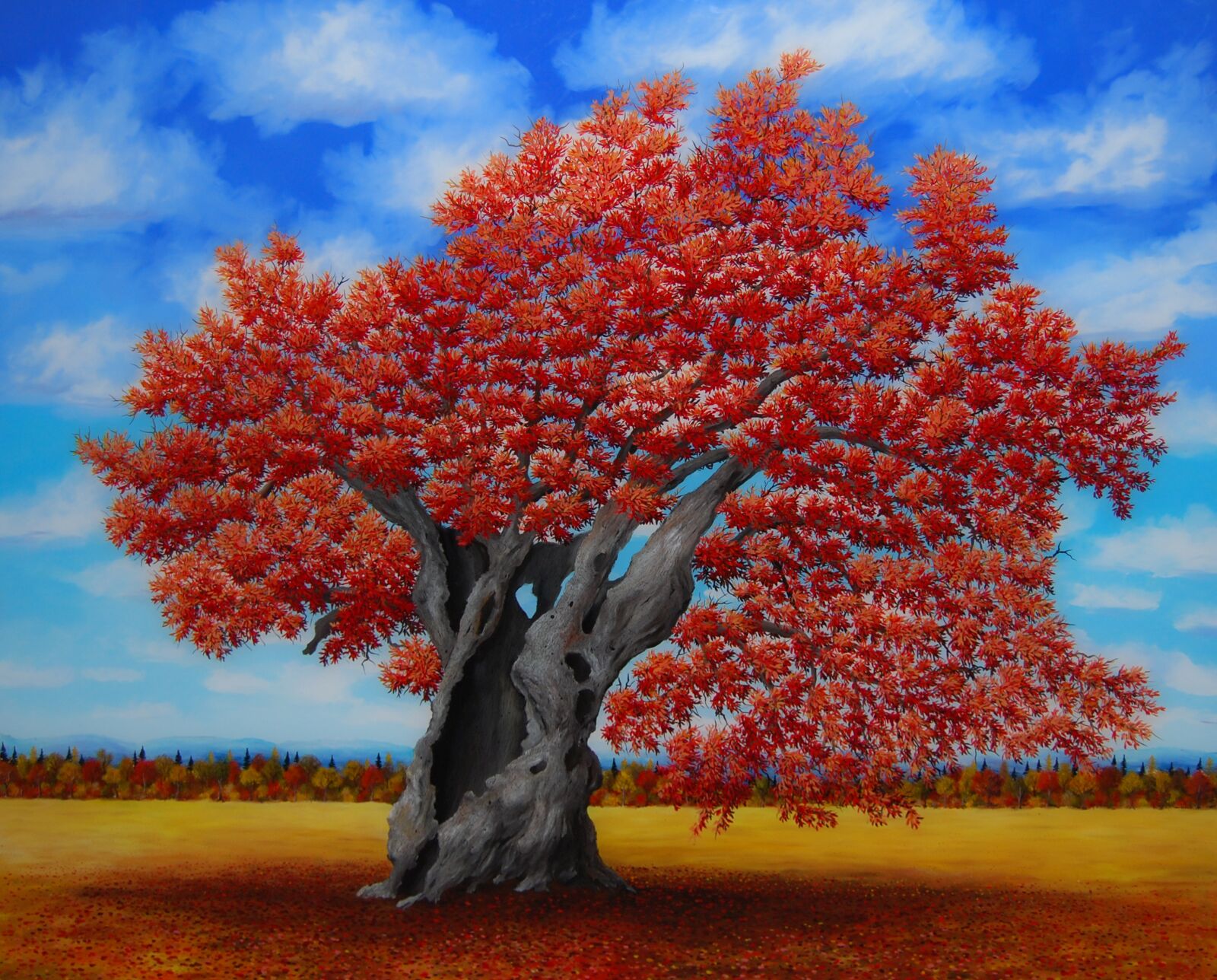 Nikon D60 sample photo. Oak, rossa, quercus photography