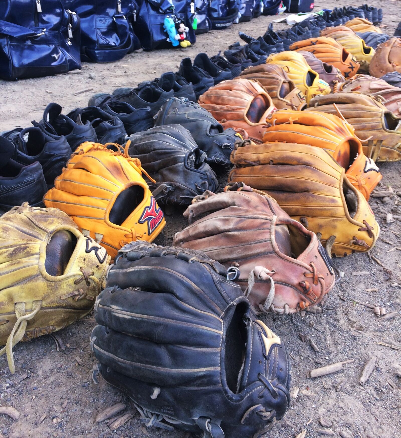 Apple iPhone 5s sample photo. Grove, baseball, tools photography