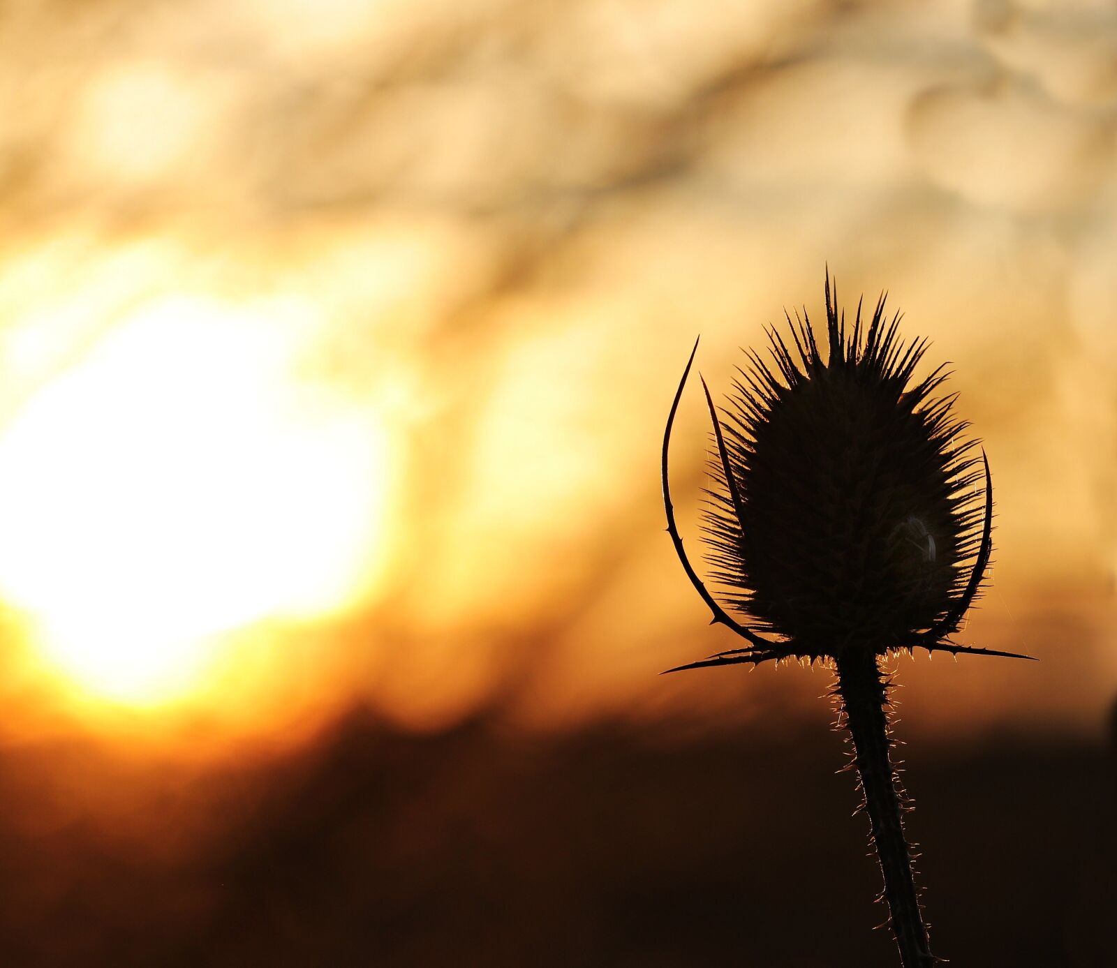 Canon EOS 80D sample photo. Sunset, sun, evening sky photography