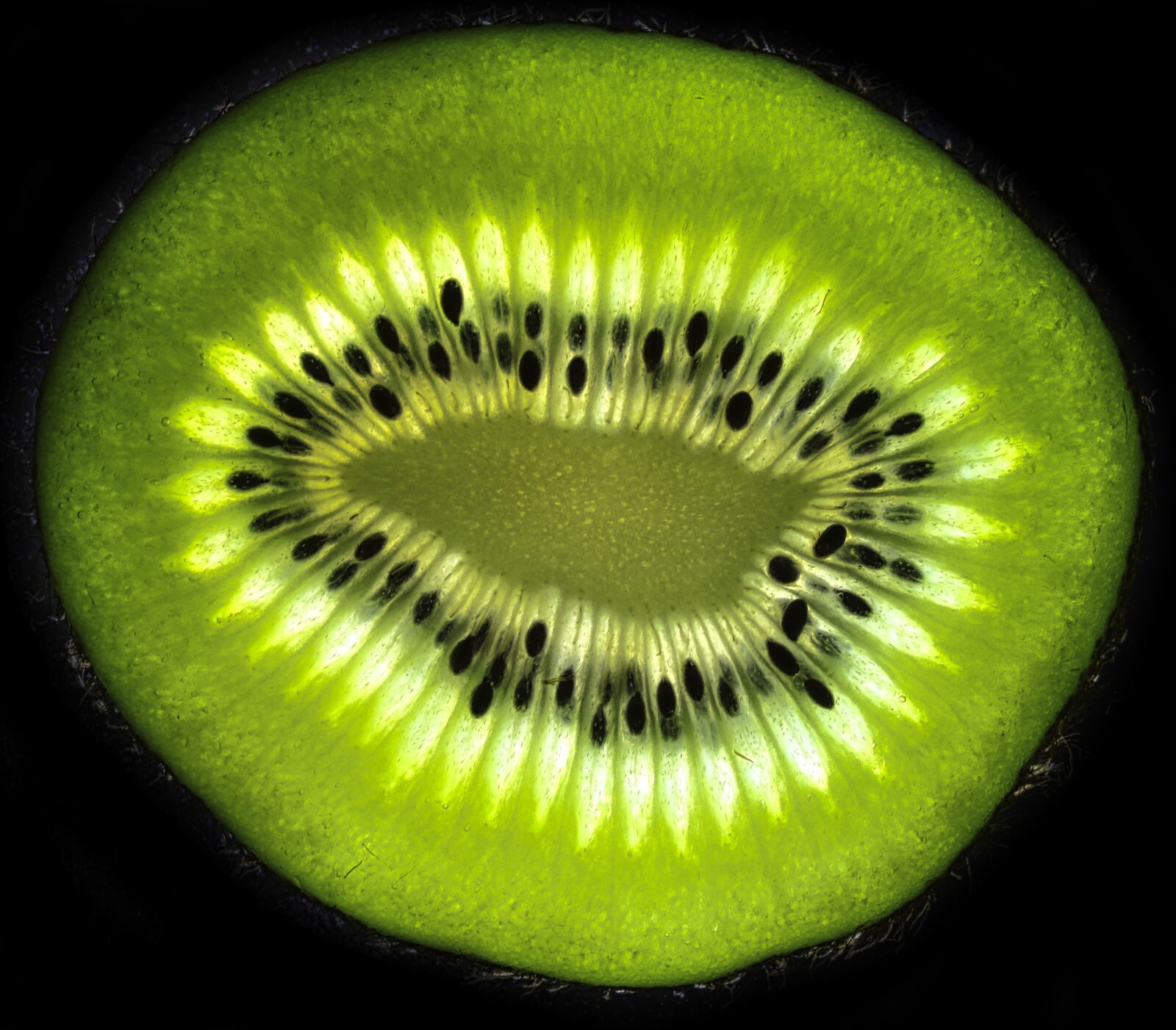 Canon EF-S 60mm F2.8 Macro USM sample photo. Kiwi, fruit, fruits photography