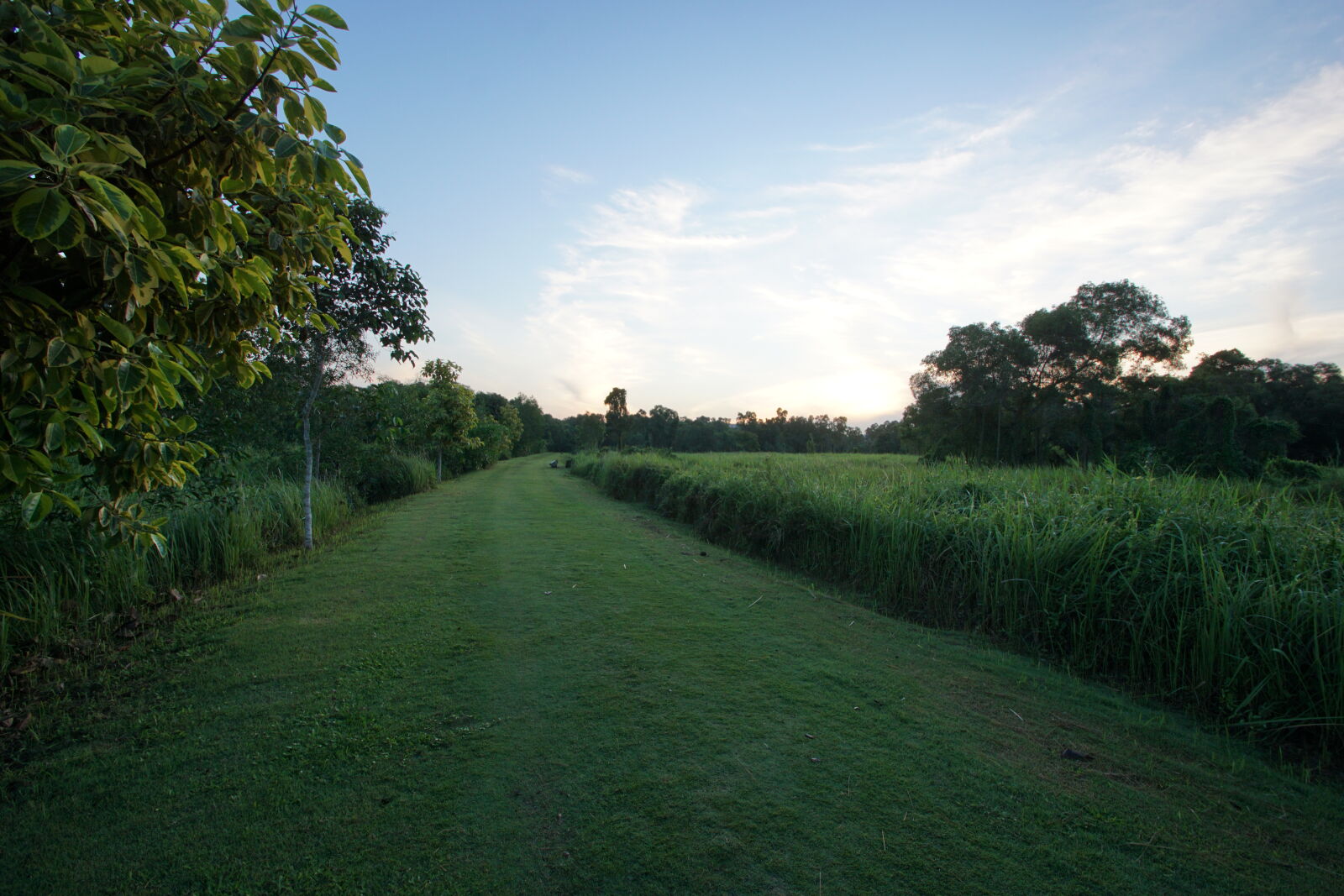 Sony ILCA-77M2 sample photo. Blue, sky, garden, landscape photography