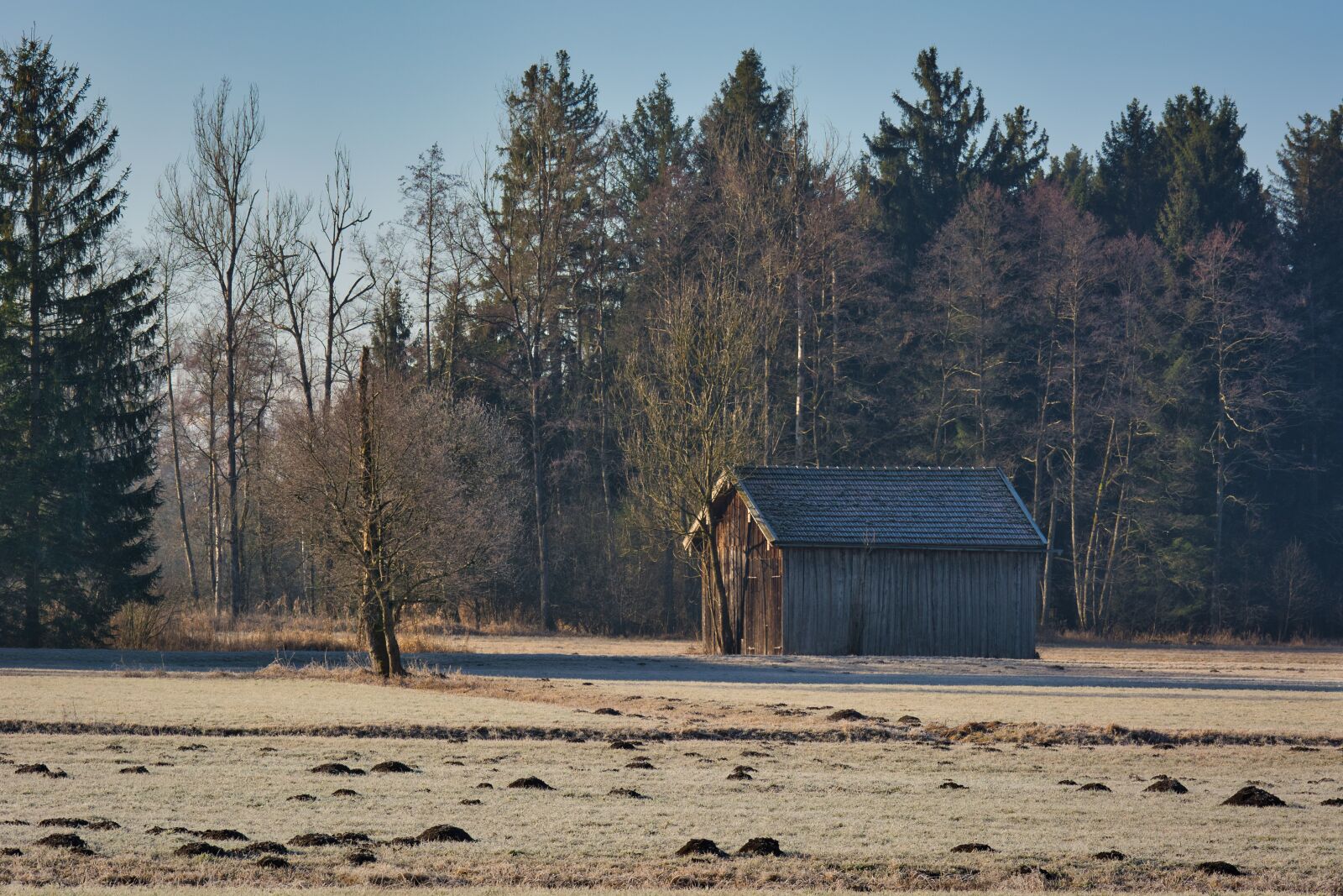 Nikon D7100 sample photo. Autumn, hut, barn photography