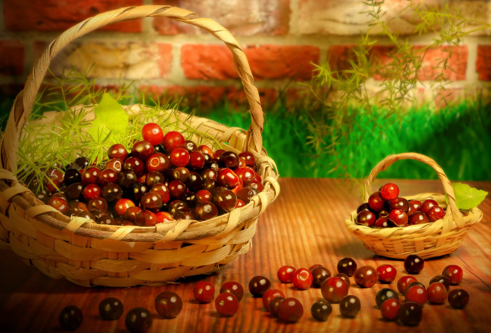Nikon D7100 sample photo. Fruits, forest, cherry photography