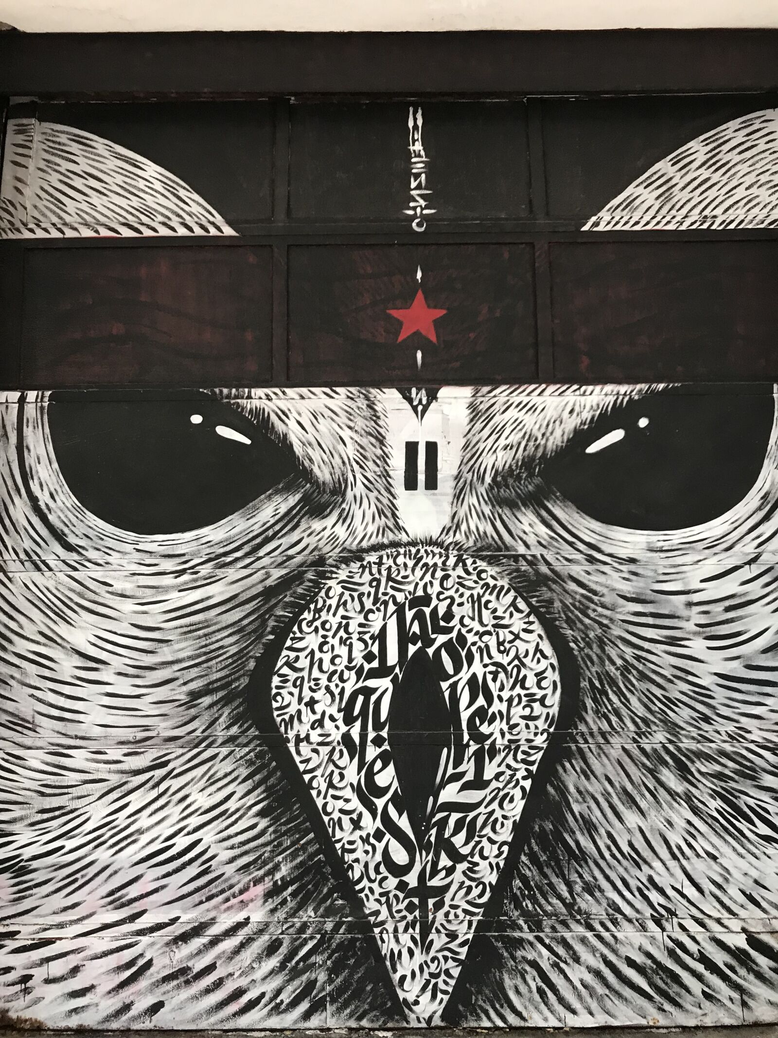 iPhone 7 Plus back dual camera 3.99mm f/1.8 sample photo. Street art, graffiti, urban photography