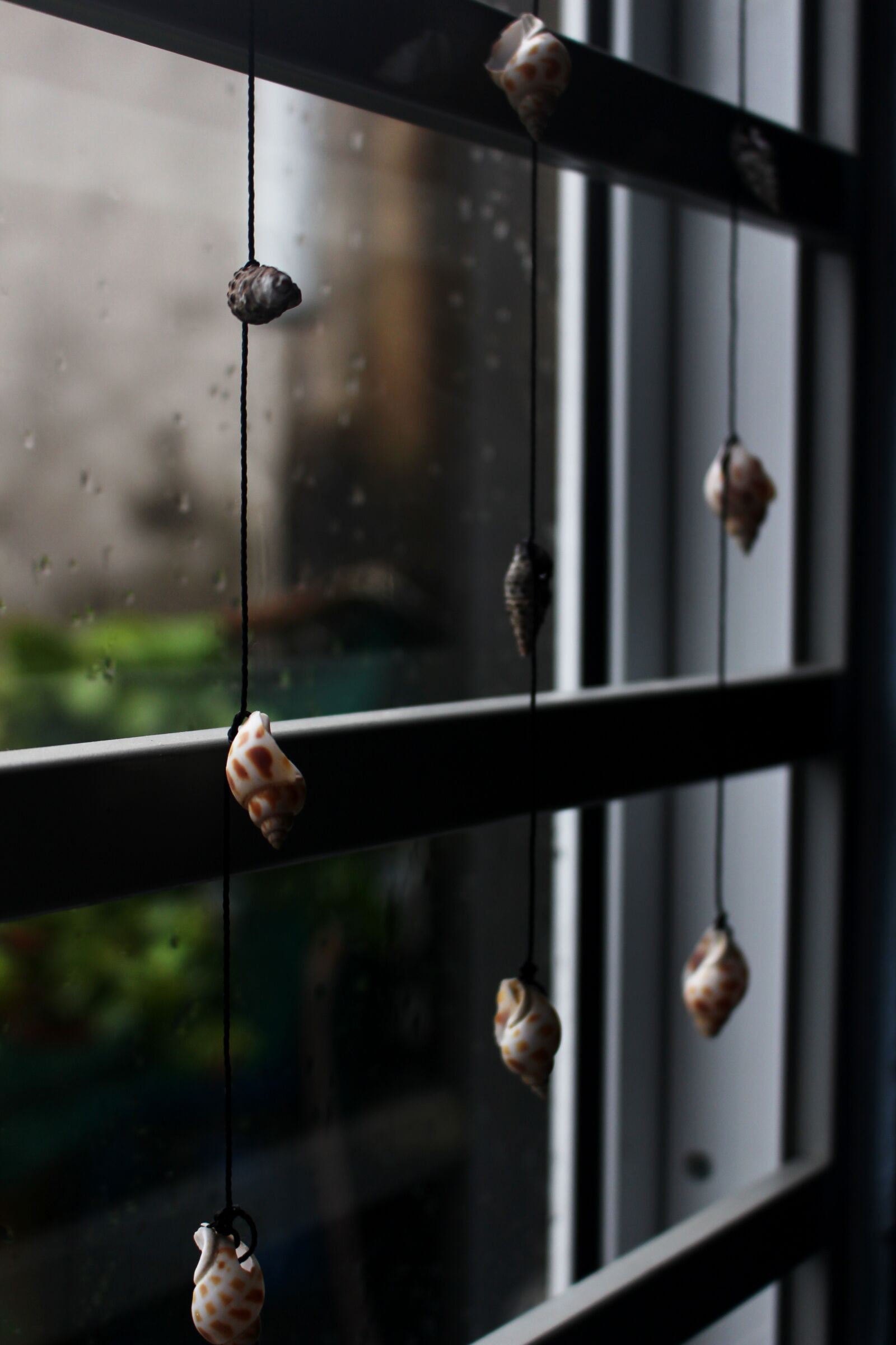 Canon EOS 700D (EOS Rebel T5i / EOS Kiss X7i) sample photo. Window, season, snail photography