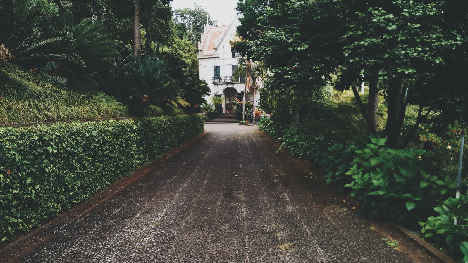 Motorola Moto G (2nd Gen) sample photo. Pathway, house, green photography