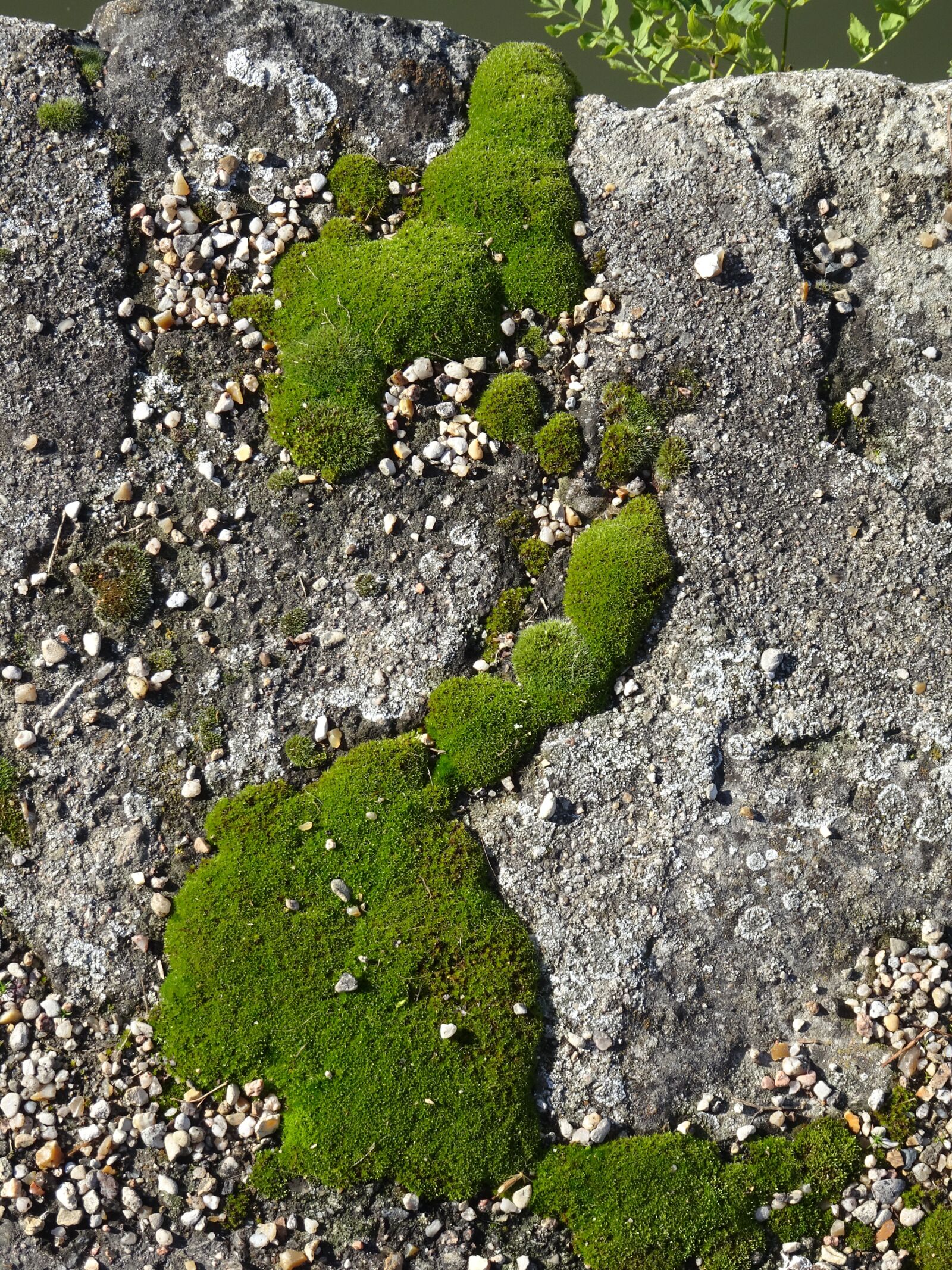 Sony Cyber-shot DSC-HX90V sample photo. Foam, rock, rocks photography