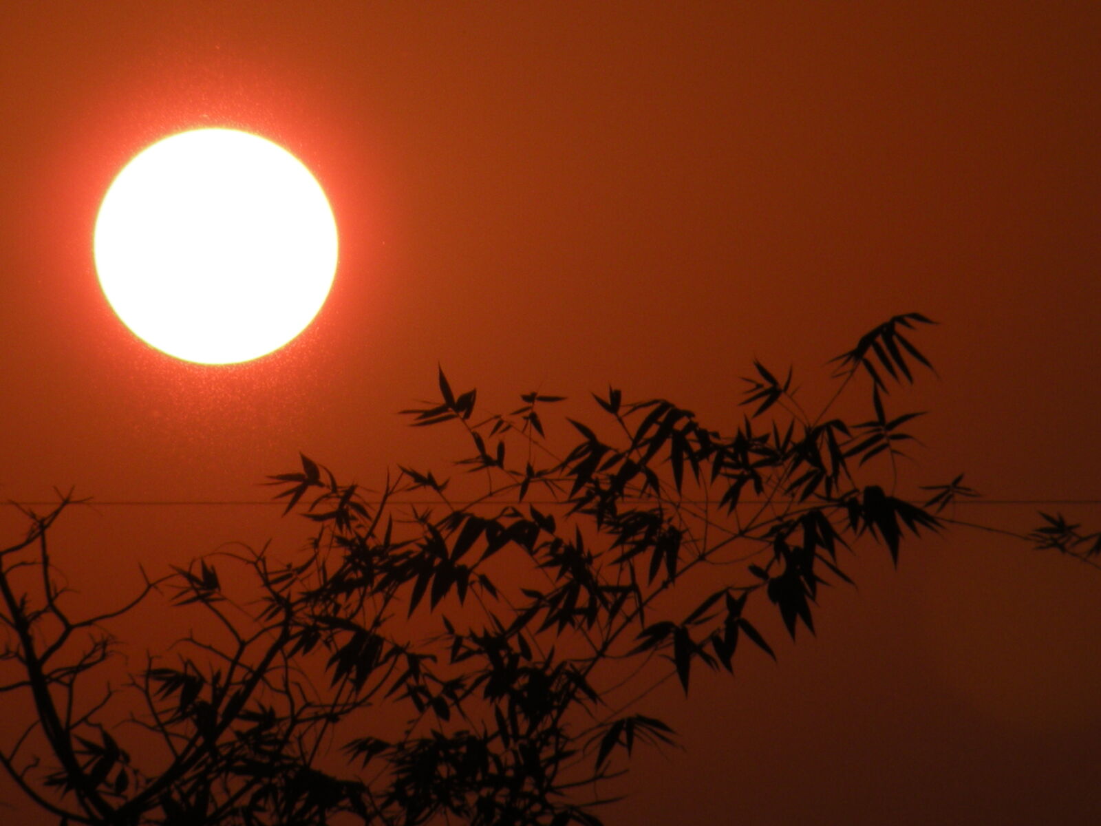 Nikon Coolpix P80 sample photo. Sun, sunset photography