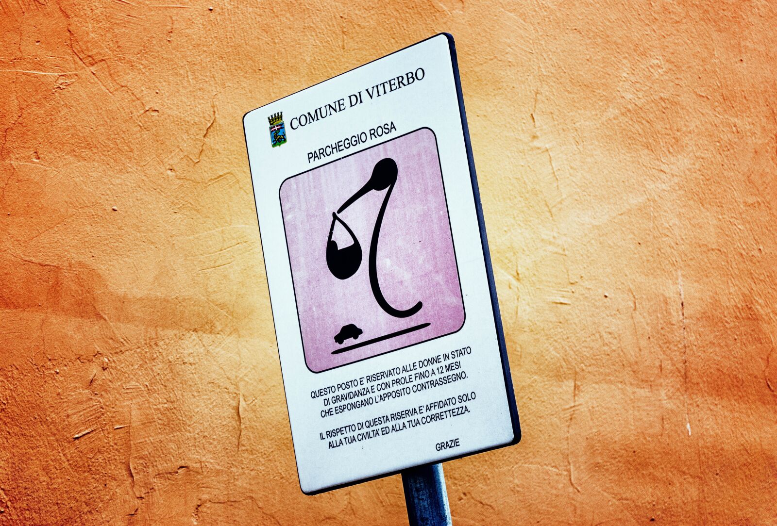 Nikon D3300 sample photo. Shield, note, midwife photography