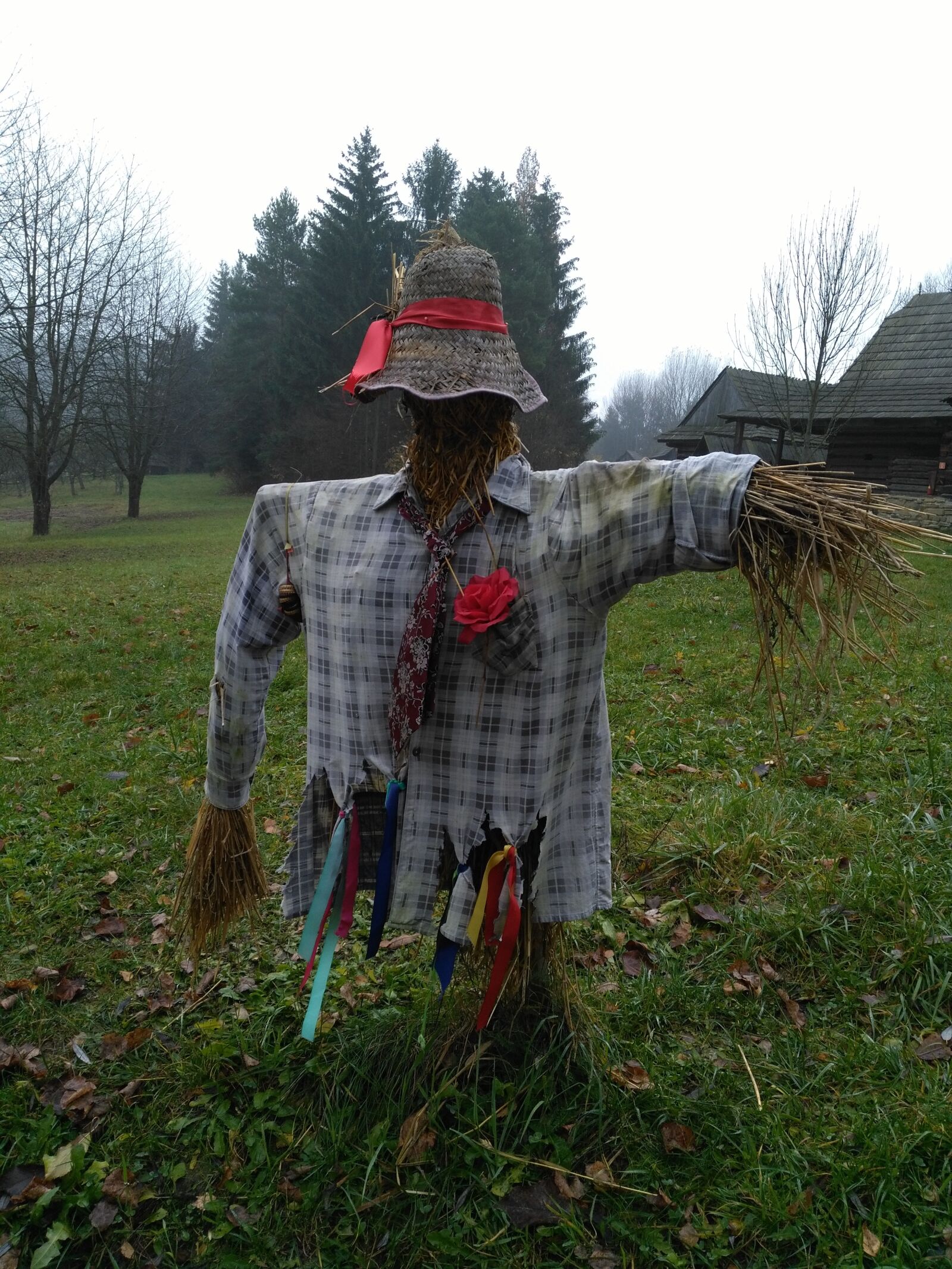 HUAWEI Honor 5X sample photo. Autumn, scarecrow, museum photography