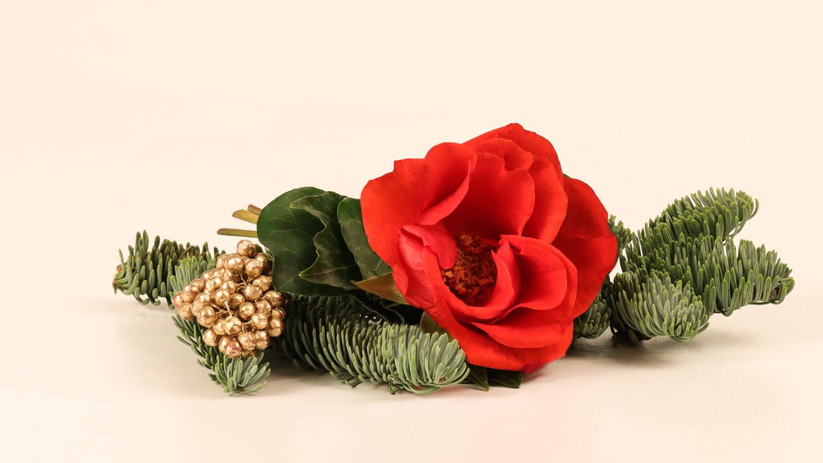 Canon EOS 90D sample photo. Rose, christmas, decoration photography