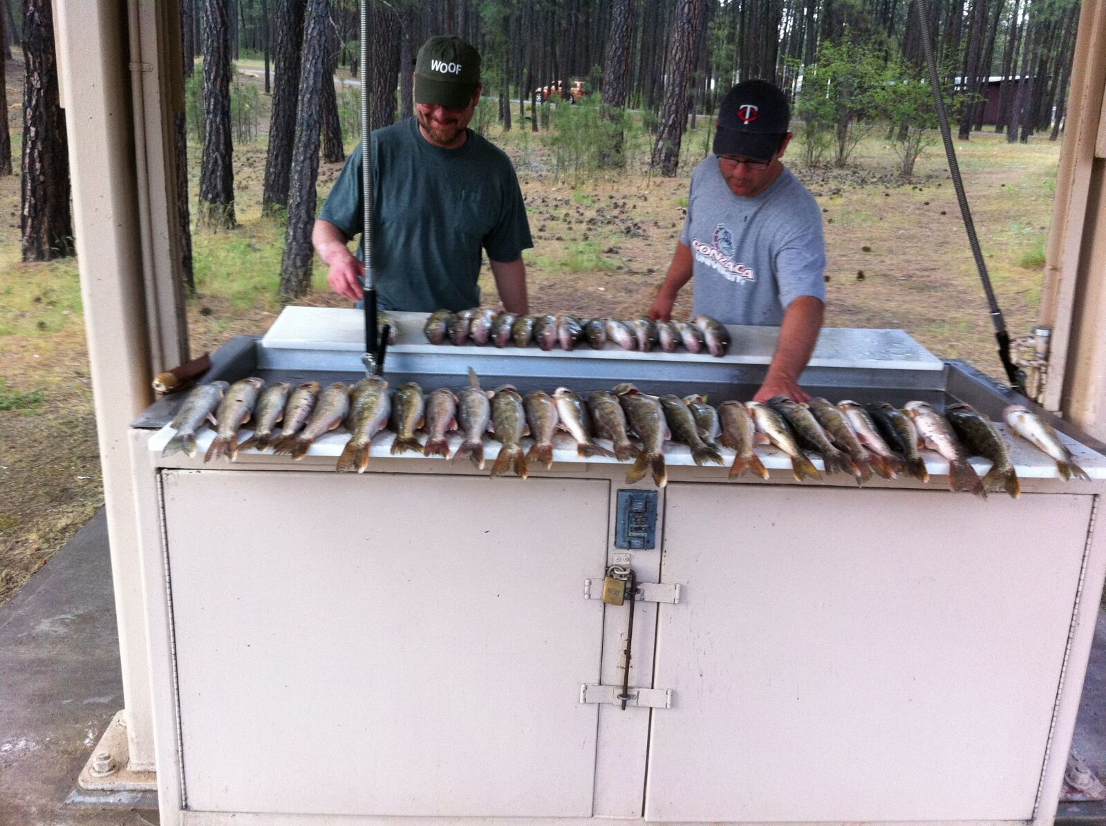Apple iPhone 4 sample photo. Fish, walleye, columbia river photography