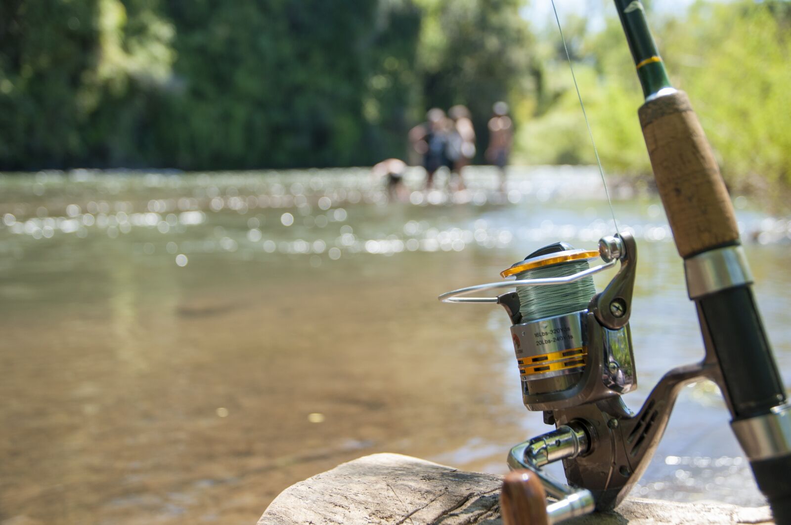 Nikon D5000 sample photo. Fishing, a fishing rod photography