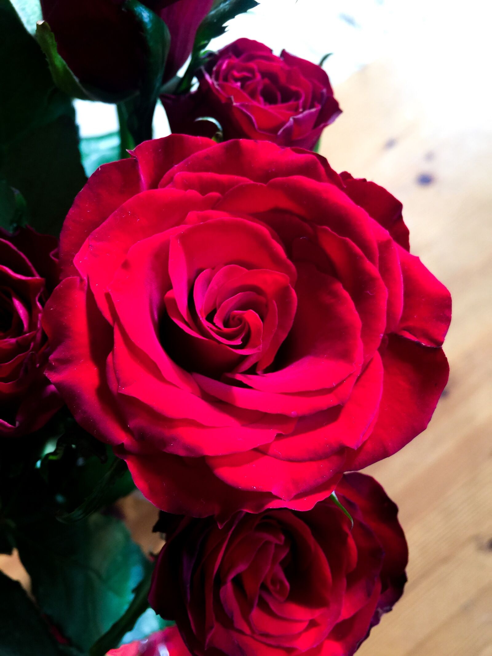 iPhone 6 Plus back camera 4.15mm f/2.2 sample photo. Red rose, roses, flower photography