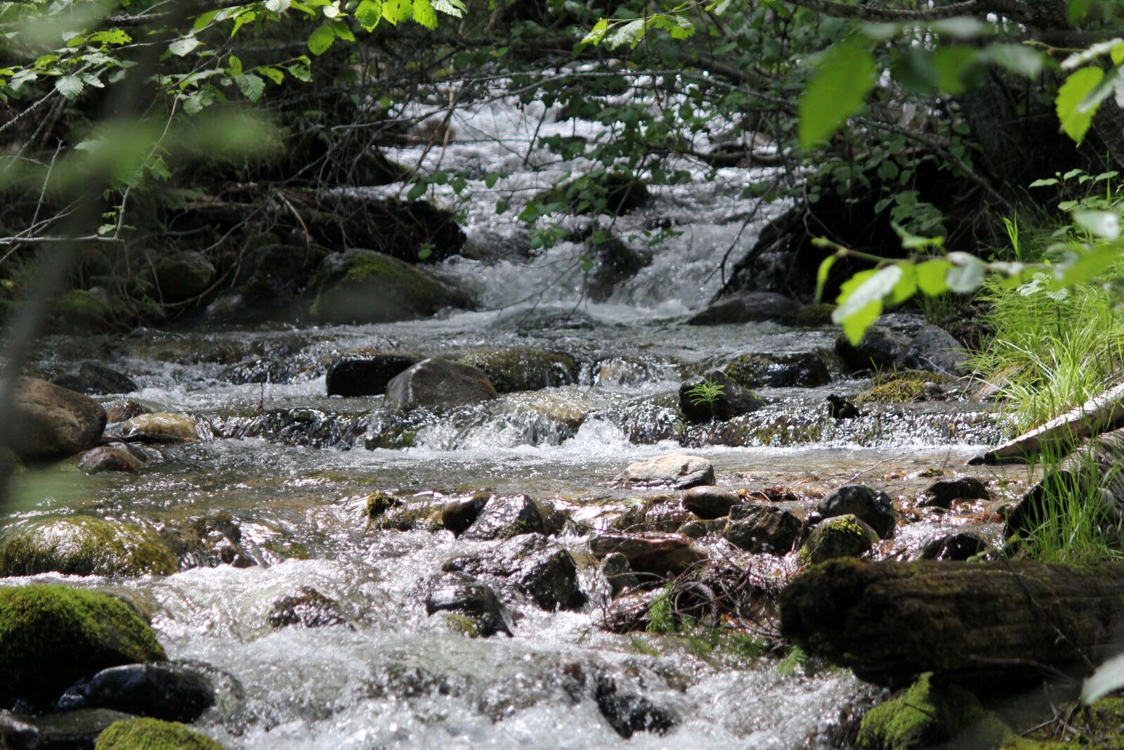 Canon EOS 550D (EOS Rebel T2i / EOS Kiss X4) sample photo. Mountain stream flowing, stream photography