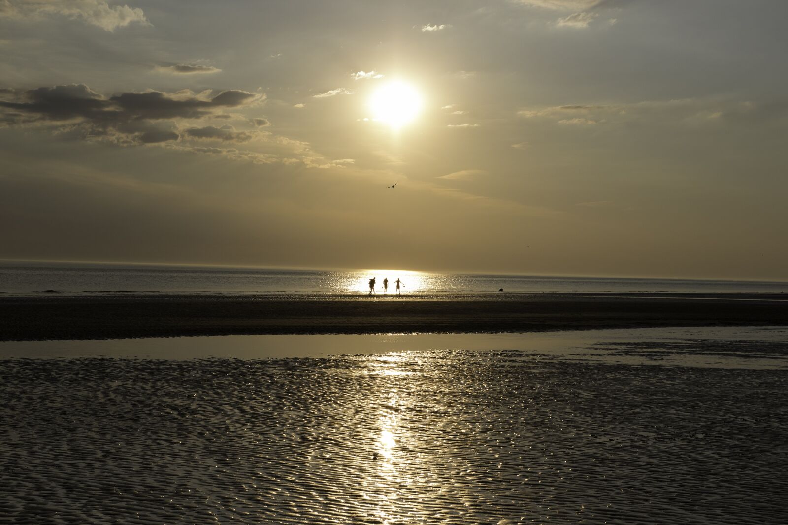 Canon EOS 7D Mark II sample photo. Netherlands, north sea, sunset photography