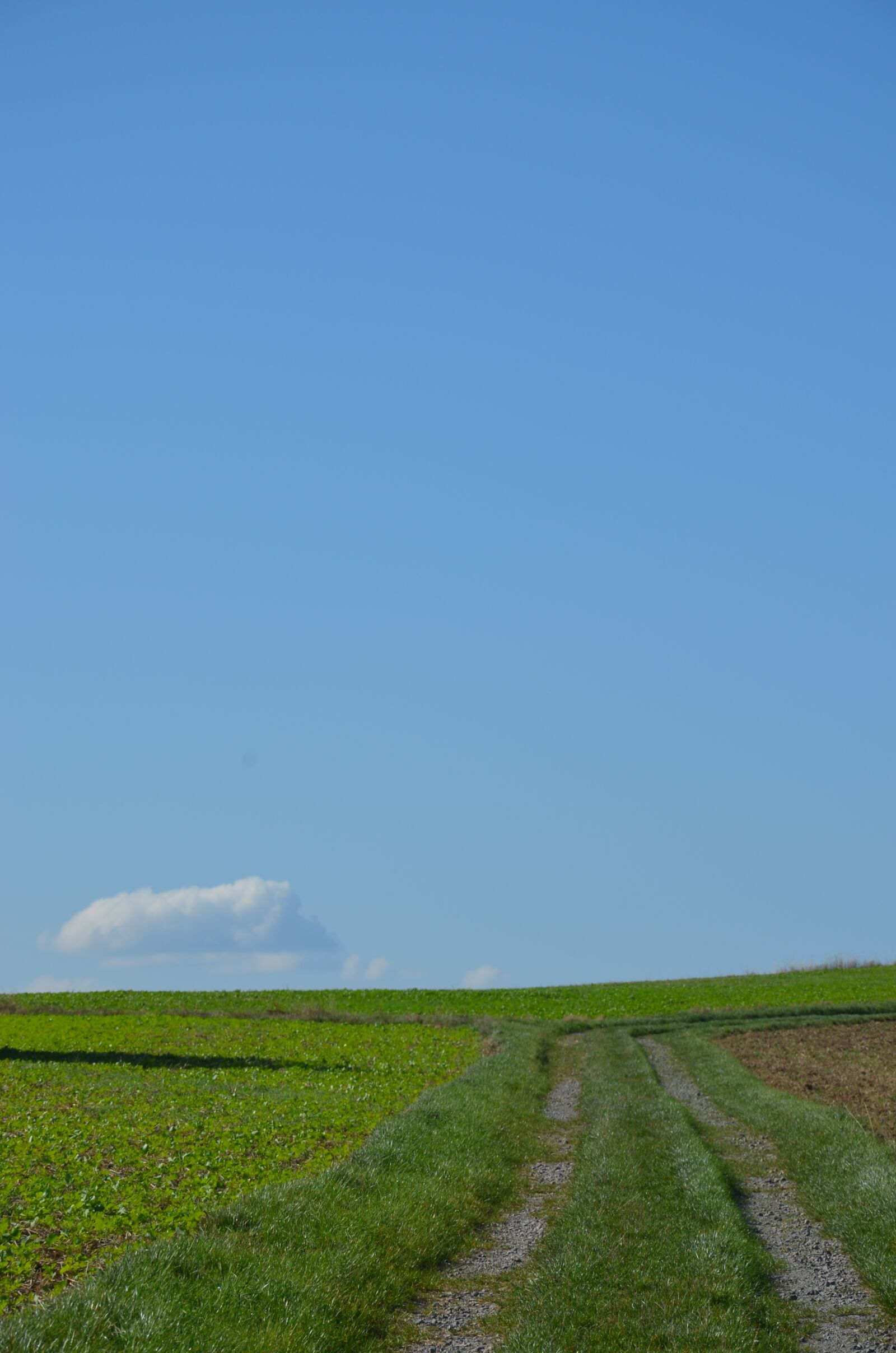 Nikon D5100 sample photo. Away, lane, landscape photography