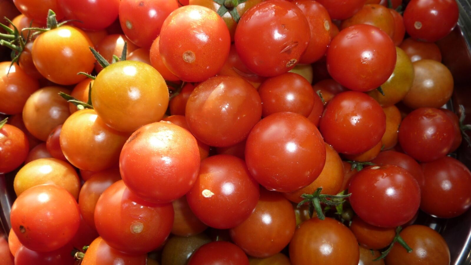 Panasonic DMC-TZ7 sample photo. Tomatoes, cherry tomatoes, vegetables photography
