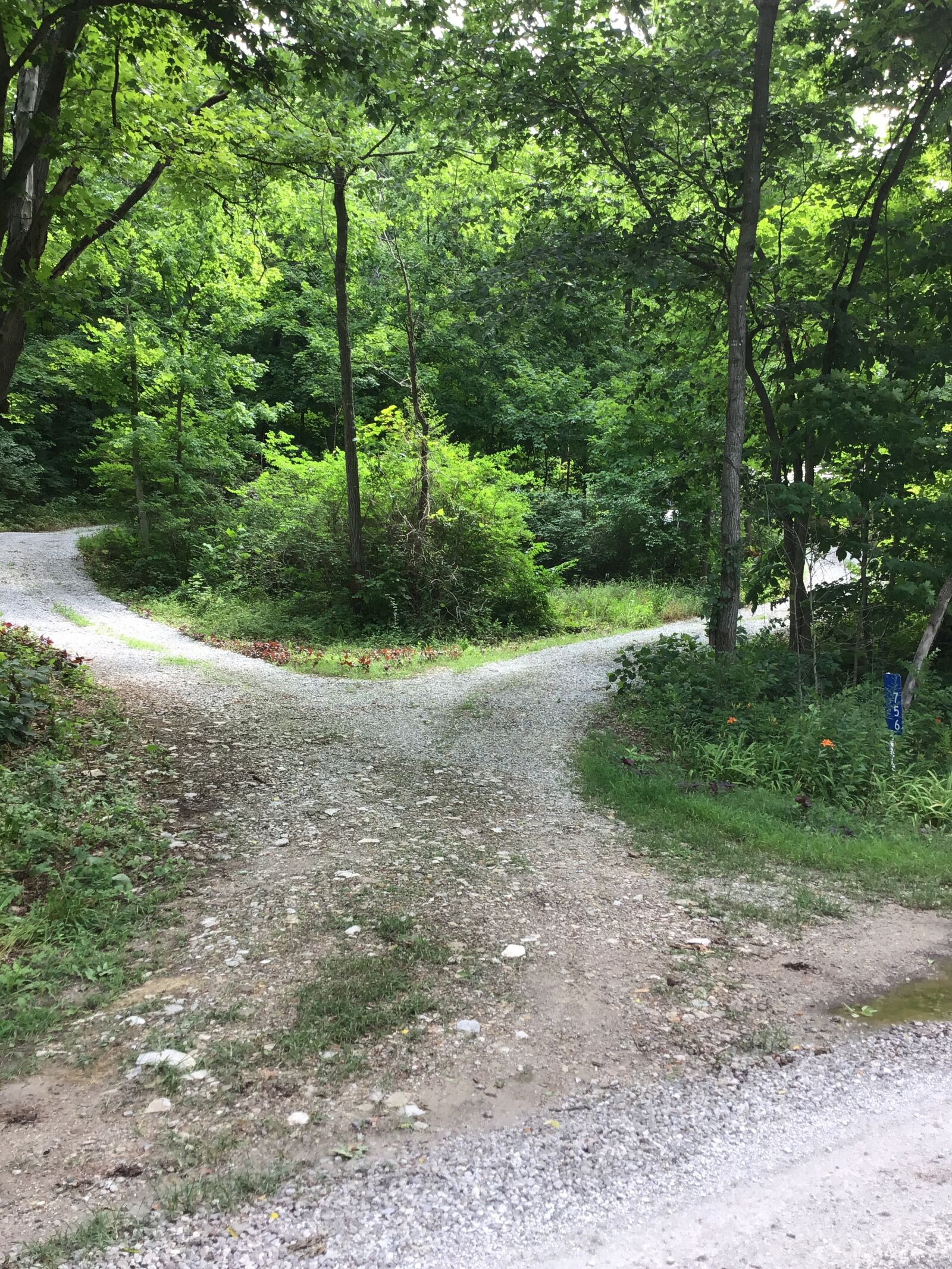 Apple iPad (6th generation) sample photo. Path that splits, road photography