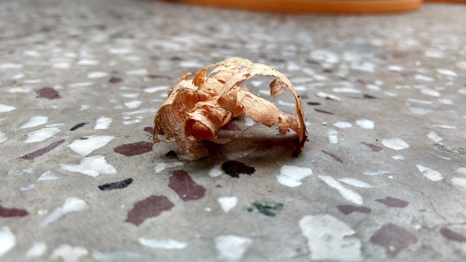 Motorola Moto G (4) sample photo. Wood, shavings photography