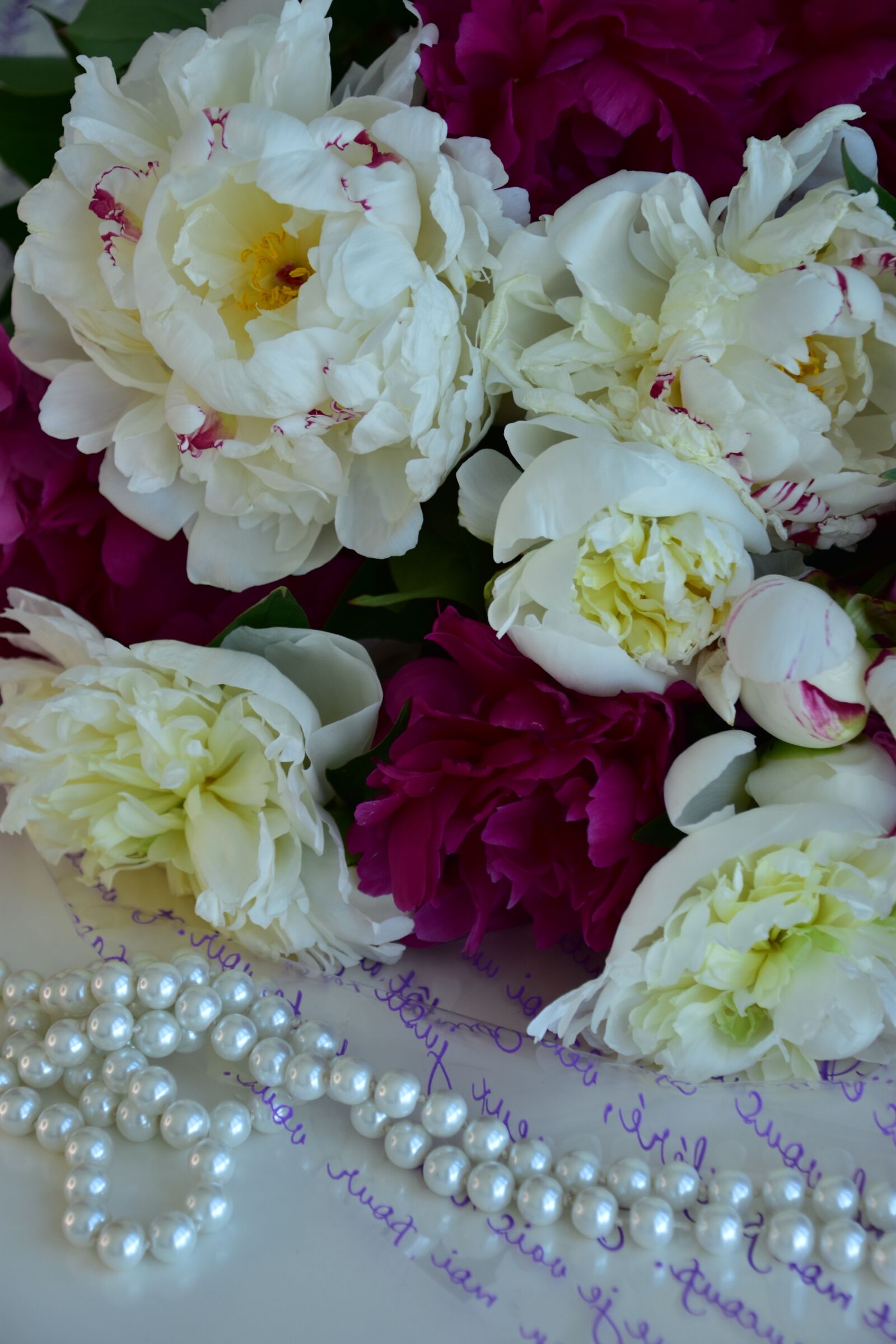 Nikon D3400 sample photo. Peonies, flowers, gift photography