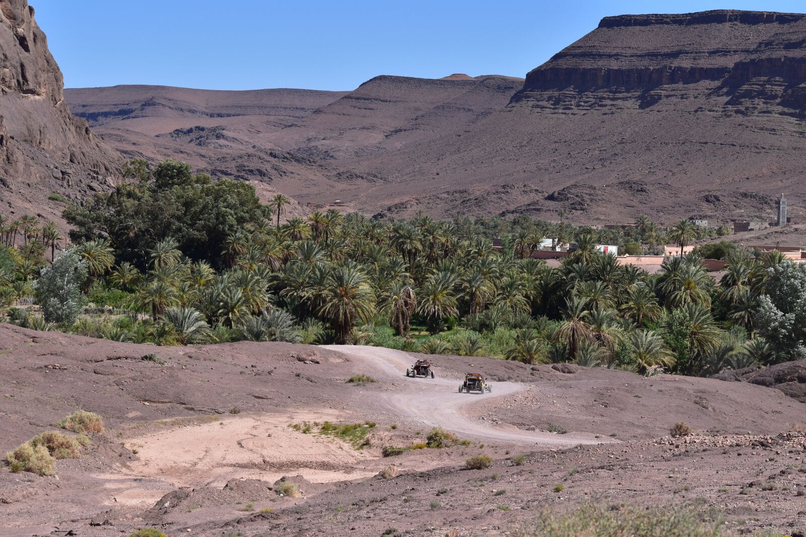 Nikon D5500 sample photo. Oasis, nature, green photography