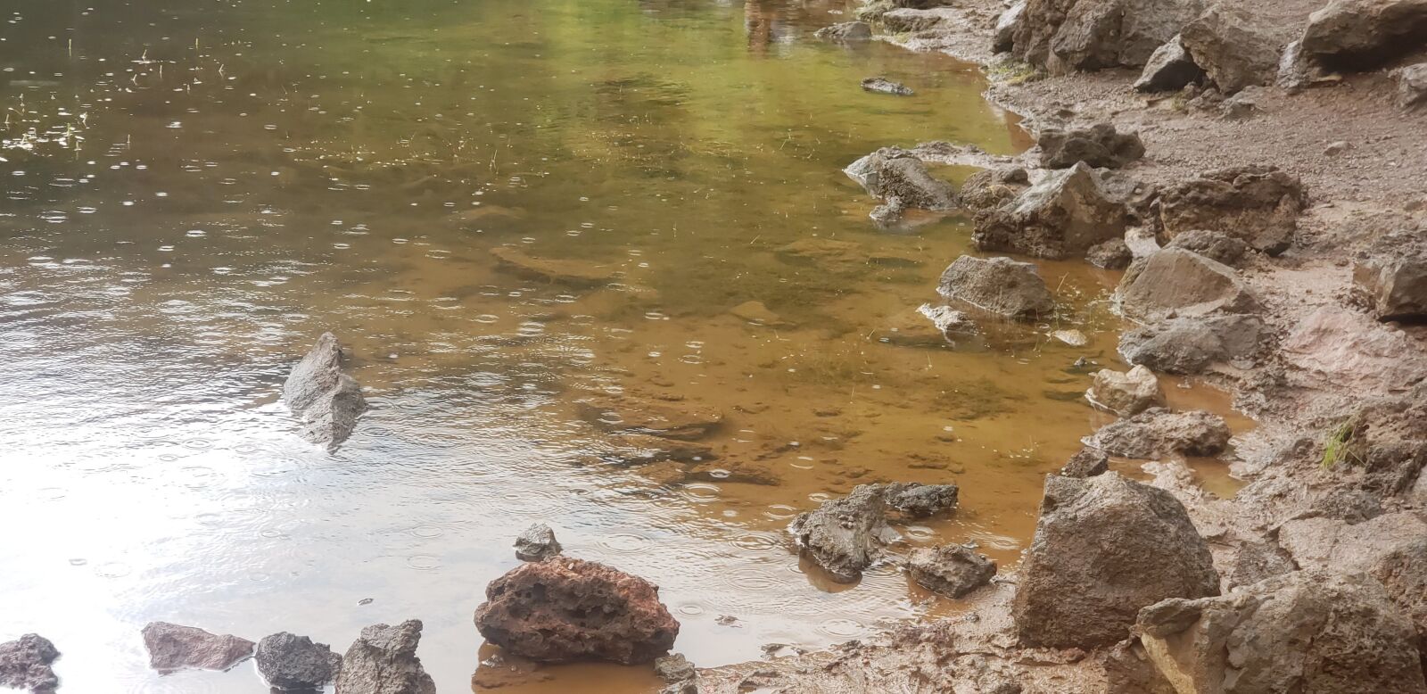 Samsung Galaxy S9+ sample photo. Drops, rain, water photography