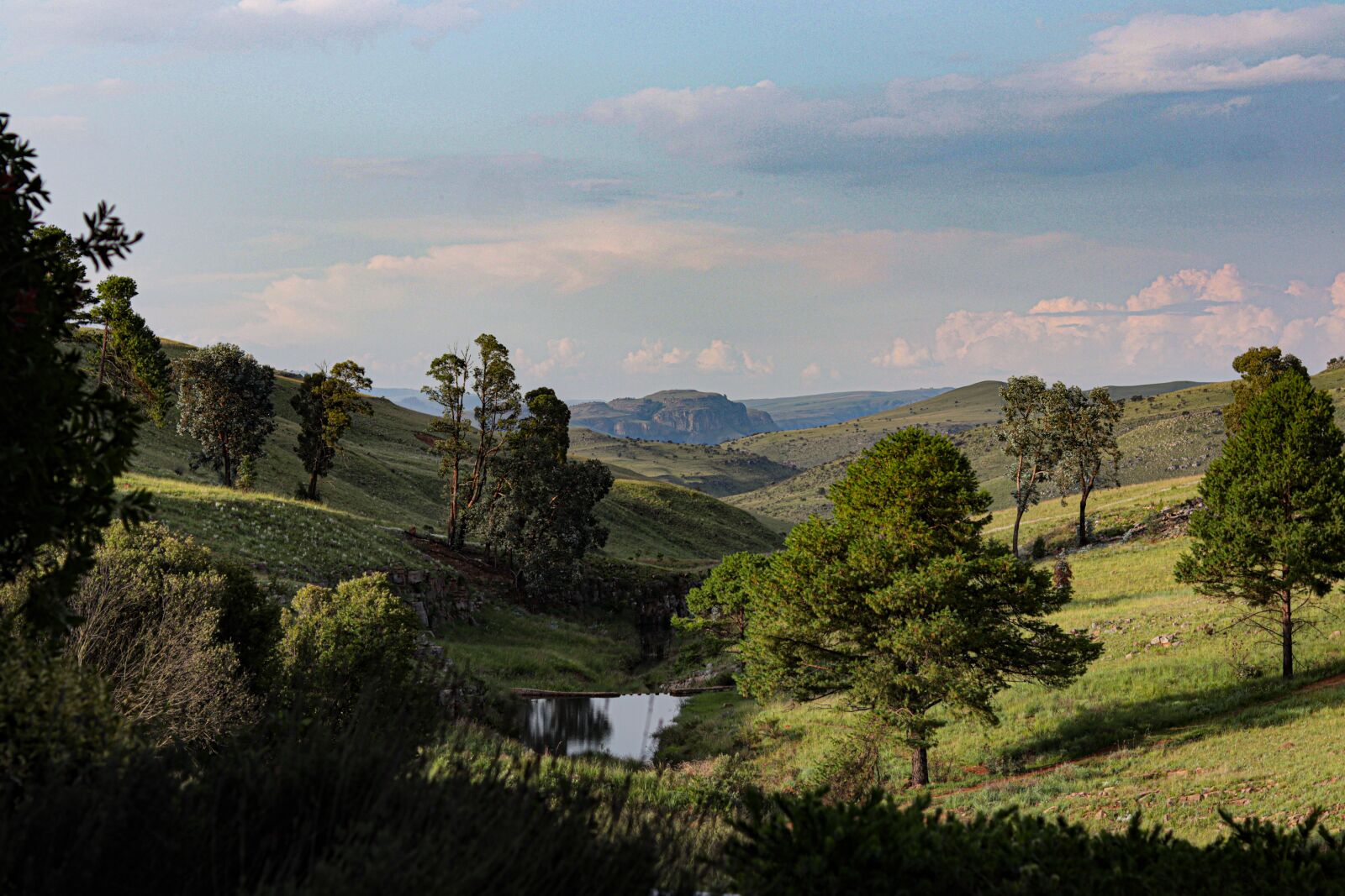 Canon EOS M50 (EOS Kiss M) + Canon EF 50mm F1.8 STM sample photo. Valley, nature, dullstroom photography